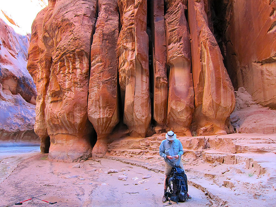 Vermilion Cliffs National Monument