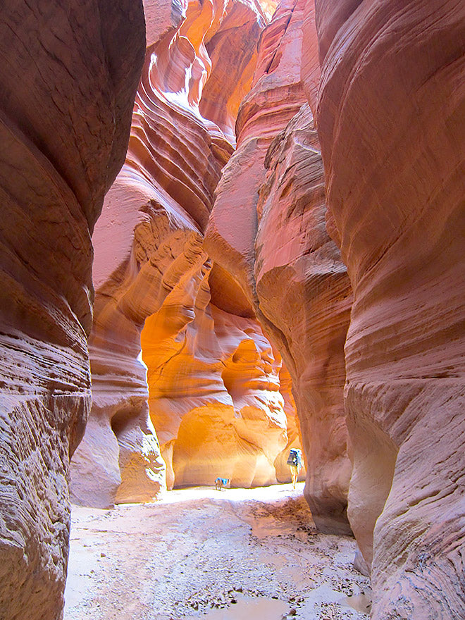 Vermilion Cliffs National Monument