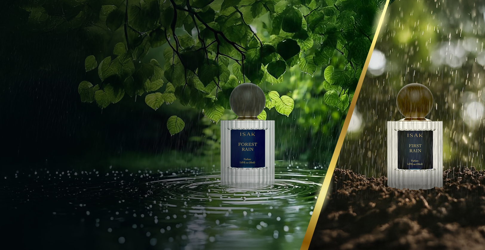 first rain_forest rain.png__PID:722e3e6a-984a-4967-bfa7-c821dda6051c