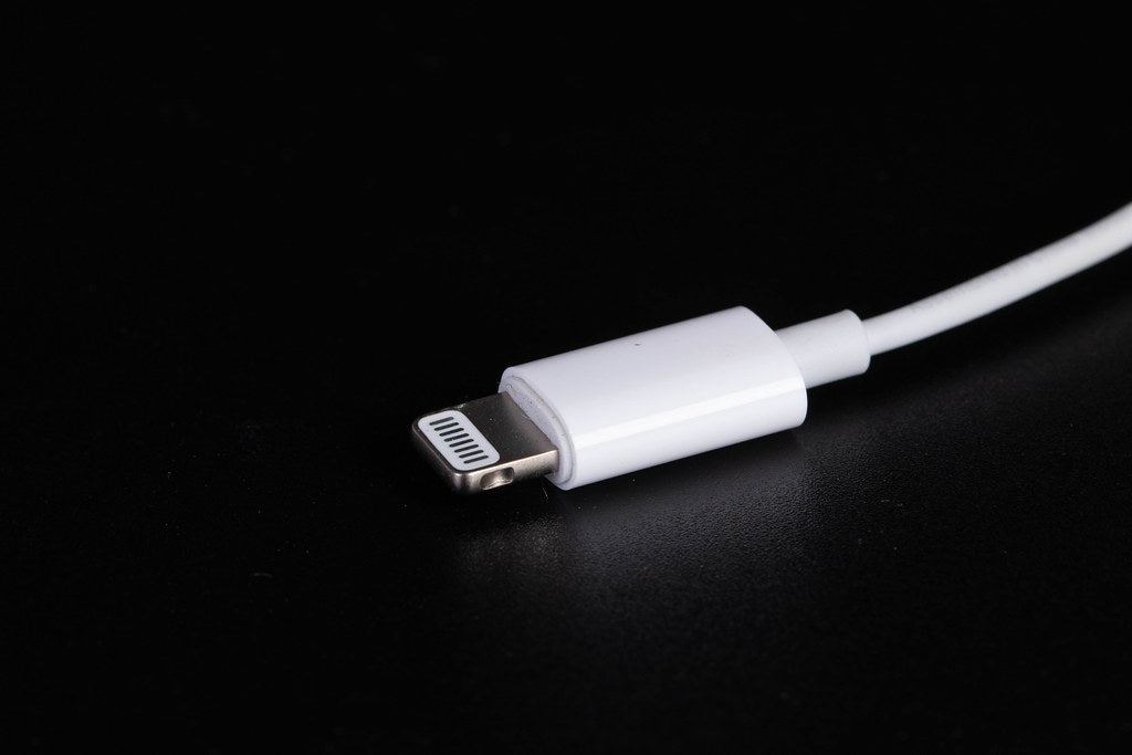 ketcher smugling Resistente USB-C vs. Lightning: Which is the Future? – PITAKA