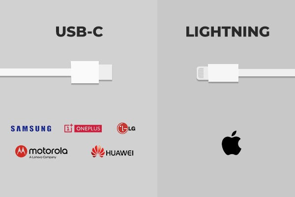 Lot de 2 Cable USB C vers Lightning certifié Apple MFi Cable USB C  Lightning Charge