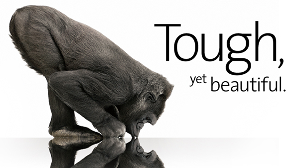 Gorilla Glass