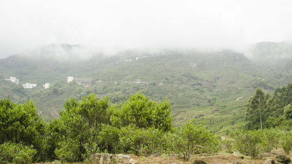 Clouds rolling through the mountains