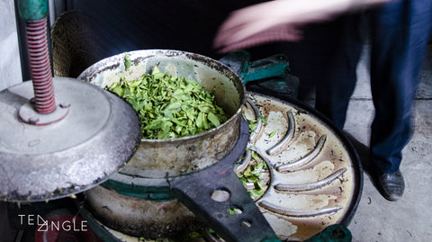 Tea leaves twisting machine