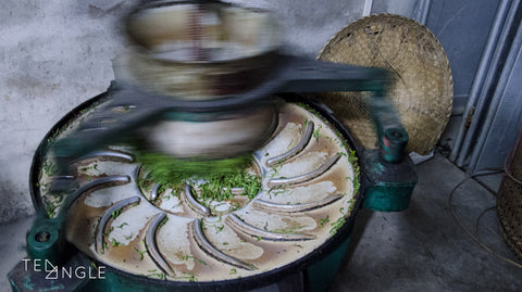 Machine used to twist Oolong tea leaves
