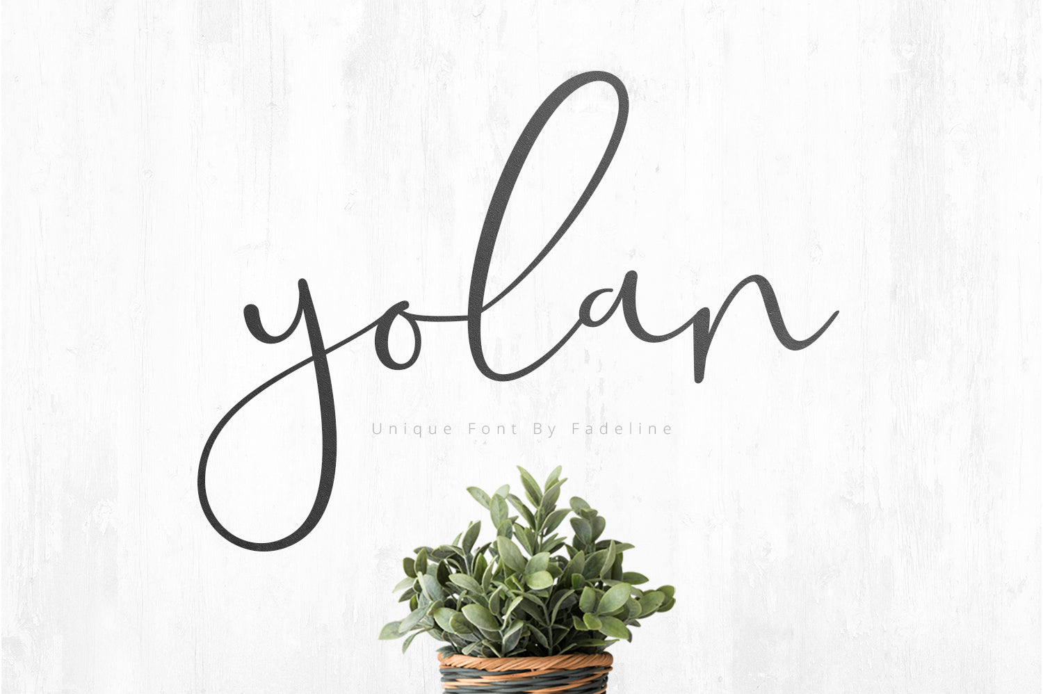 yolan unique free font