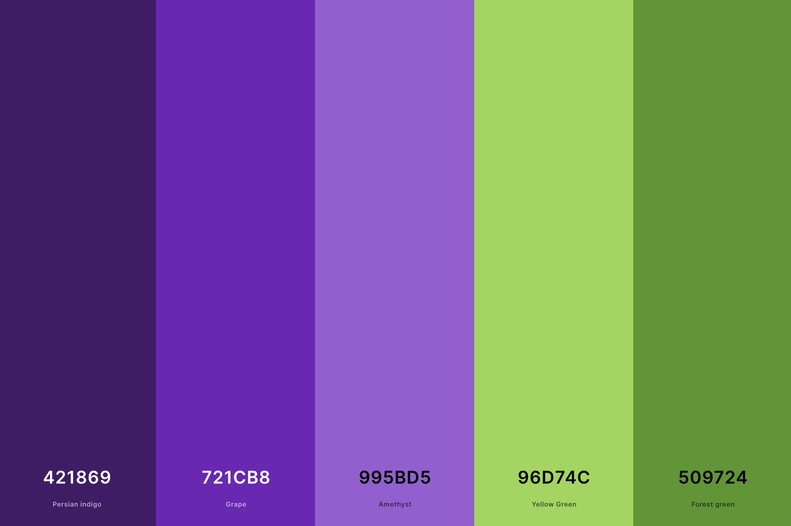 1. Purple And Green Color Palette Color Palette with Persian Indigo (Hex #421869) + Grape (Hex #721CB8) + Amethyst (Hex #995BD5) + Yellow Green (Hex #96D74C) + Forest Green (Hex #509724) Color Palette with Hex Codes