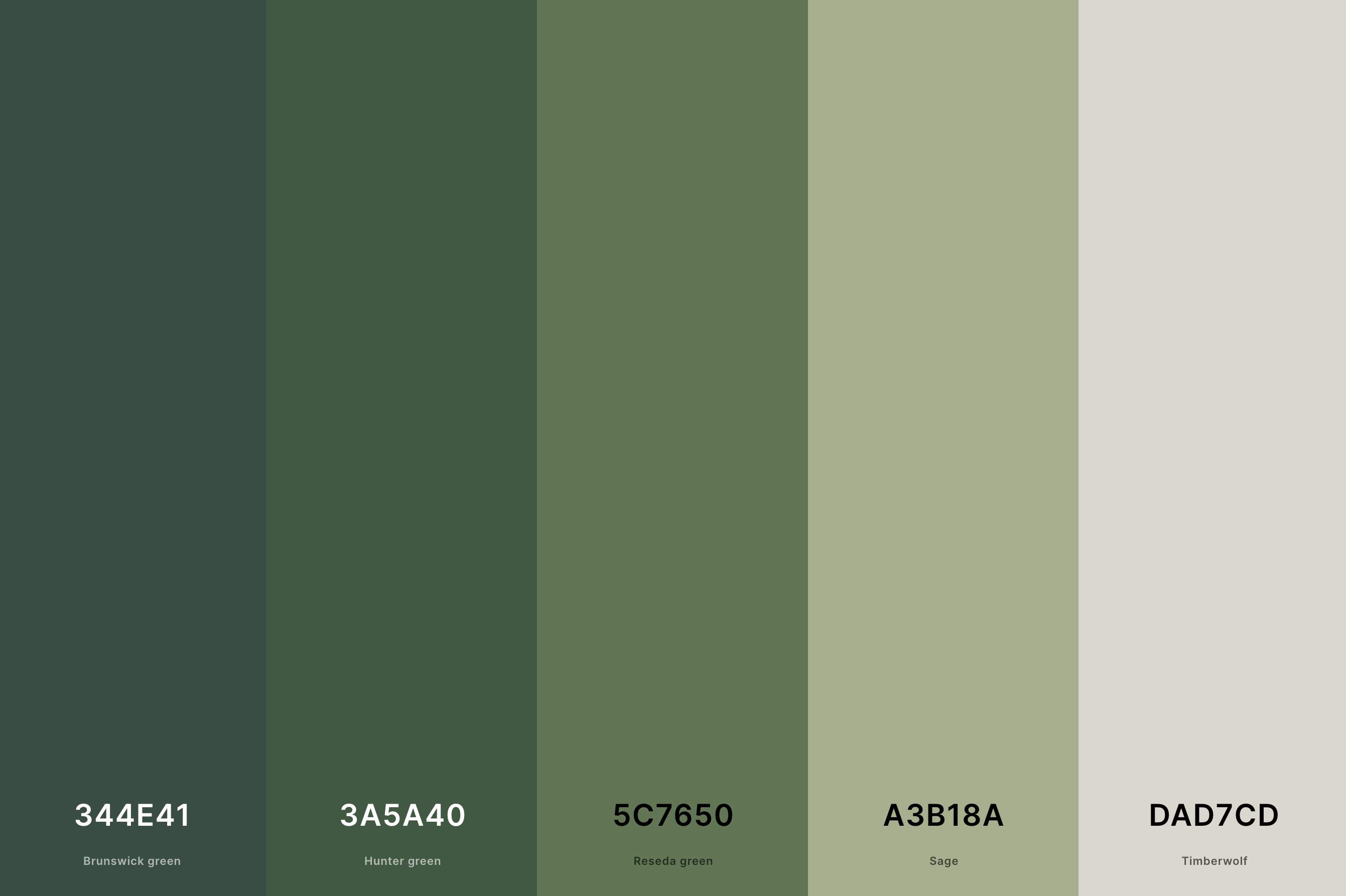 1. Sage Green Color Palette Color Palette with Brunswick Green (Hex #344E41) + Hunter Green (Hex #3A5A40) + Reseda Green (Hex #5C7650) + Sage (Hex #A3B18A) + Timberwolf (Hex #DAD7CD) Color Palette with Hex Codes