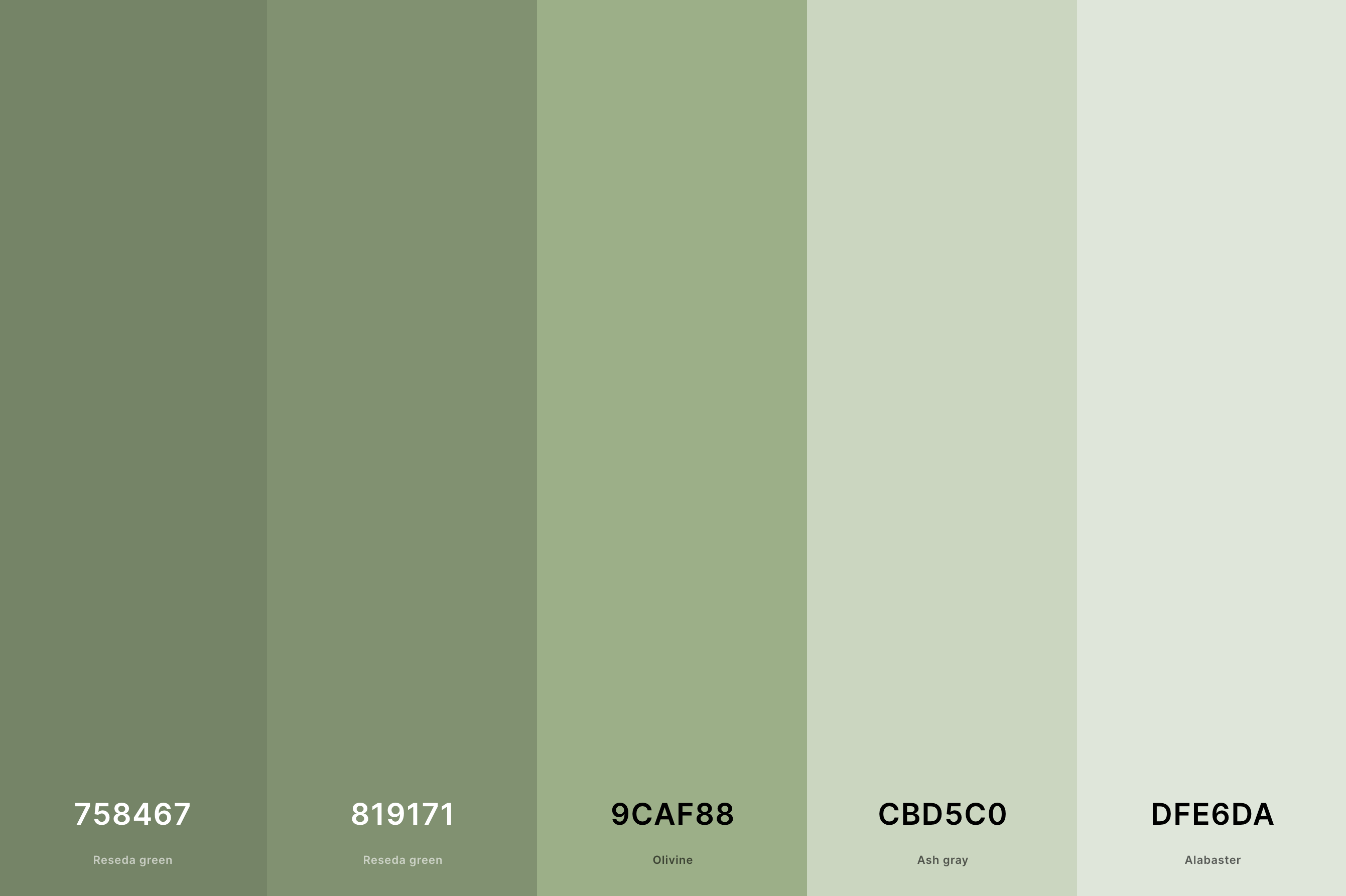 1. Sage Green Color Palette Color Palette With Reseda Green Hex 758467 Reseda Green Hex 819171 Olivine Hex 9CAF88 Ash Gray Hex CBD5C0 Alabaster Hex DFE6DA Color Palette With Hex Codes ?v=1684906220