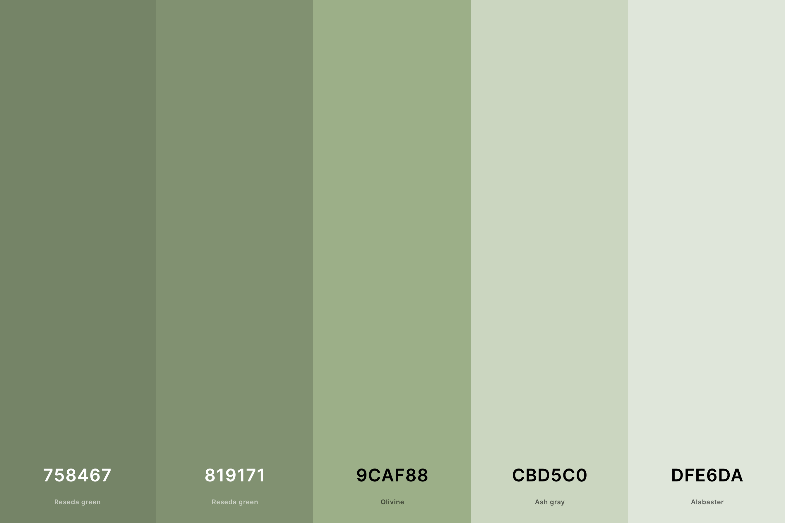 https://cdn.shopify.com/s/files/1/1038/1798/files/1._Sage_Green_Color_Palette_Color_Palette_with_Reseda_Green_Hex_758467_Reseda_Green_Hex_819171_Olivine_Hex_9CAF88_Ash_Gray_Hex_CBD5C0_Alabaster_Hex_DFE6DA_Color_Palette_with_Hex_Codes.png?v=1684906220