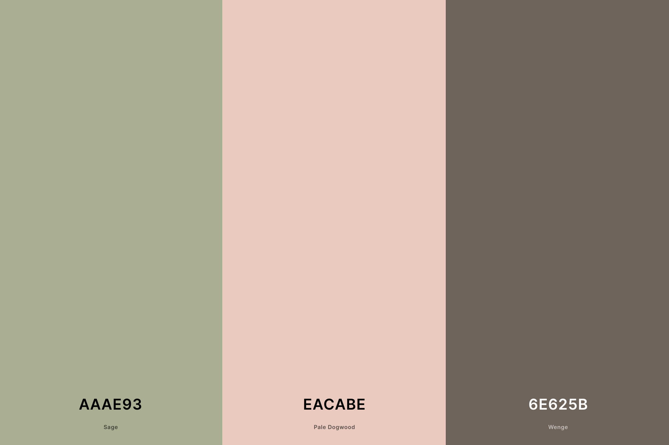 1. Sage Green and Dusty Rose Palette Color Palette with Sage (Hex #AAAE93) + Pale Dogwood (Hex #EACABE) + Wenge (Hex #6E625B) with Hex Codes