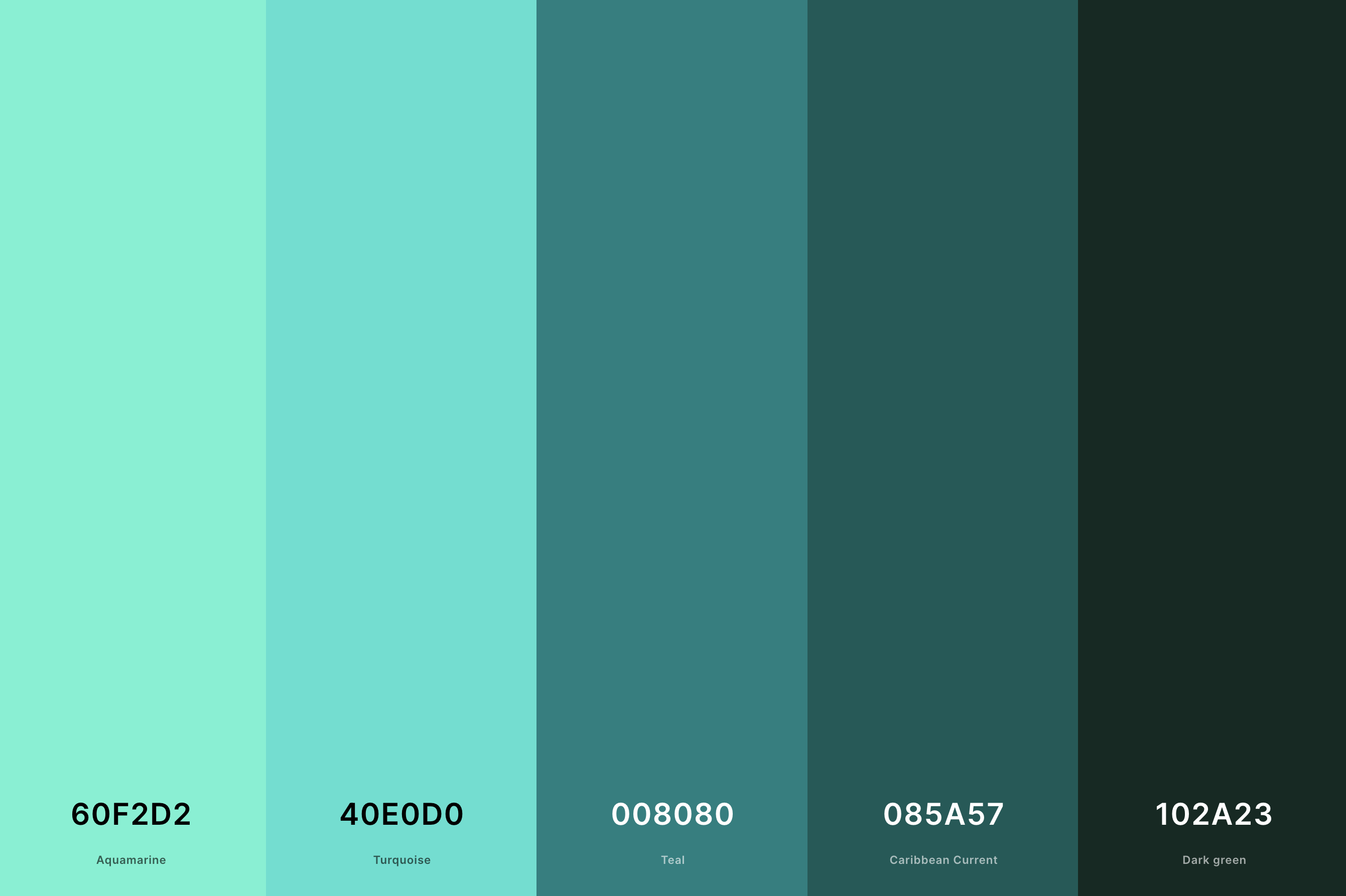 1. Turquoise And Teal Color Palette Color Palette with Aquamarine (Hex #60F2D2) + Turquoise (Hex #40E0D0) + Teal (Hex #008080) + Caribbean Current (Hex #085A57) + Dark Green (Hex #102A23) Color Palette with Hex Codes