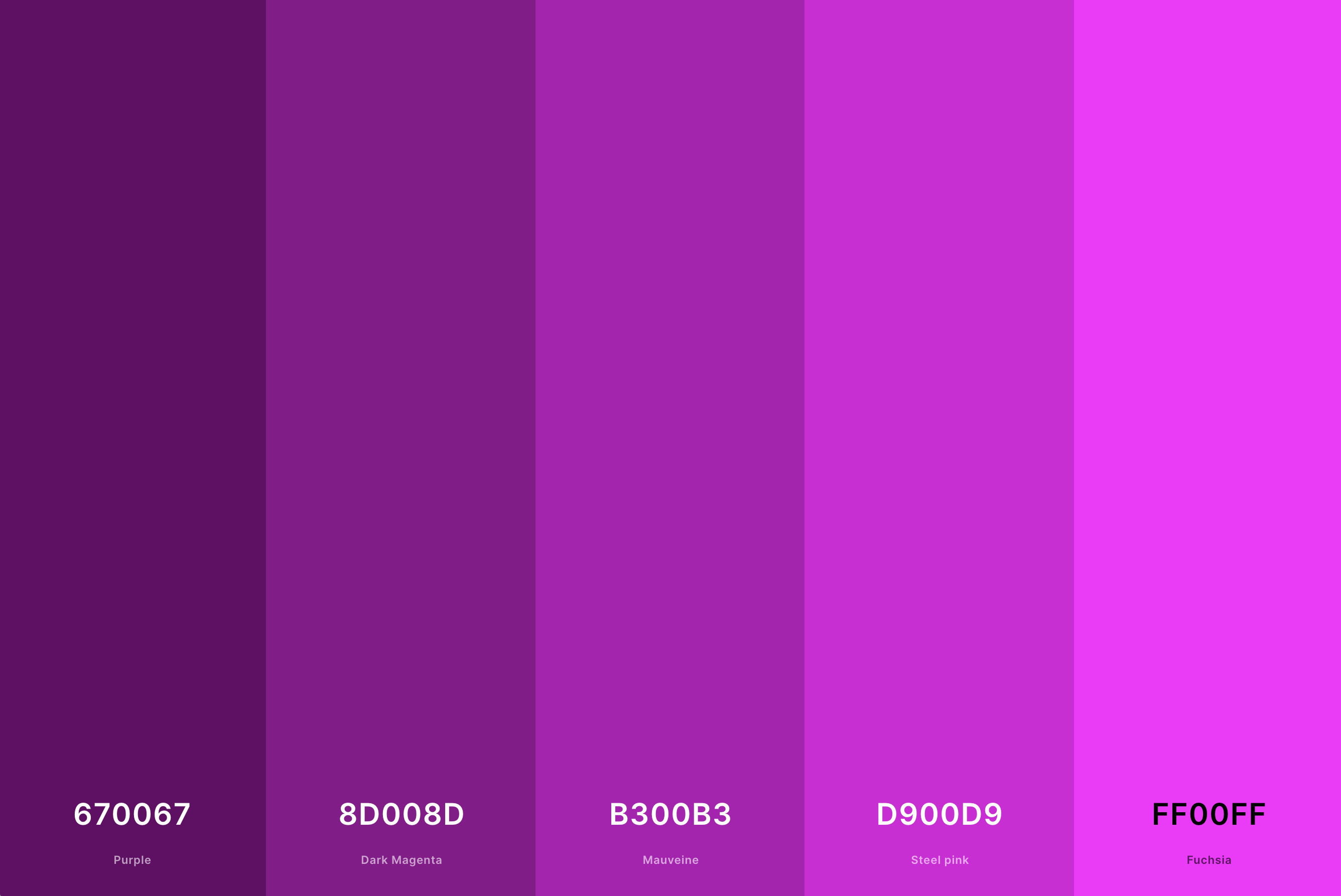 10. Shades Of Magenta Color Palette Color Palette with Purple (Hex #670067) + Dark Magenta (Hex #8D008D) + Mauveine (Hex #B300B3) + Steel Pink (Hex #D900D9) + Magenta (Hex #FF00FF) Color Palette with Hex Codes