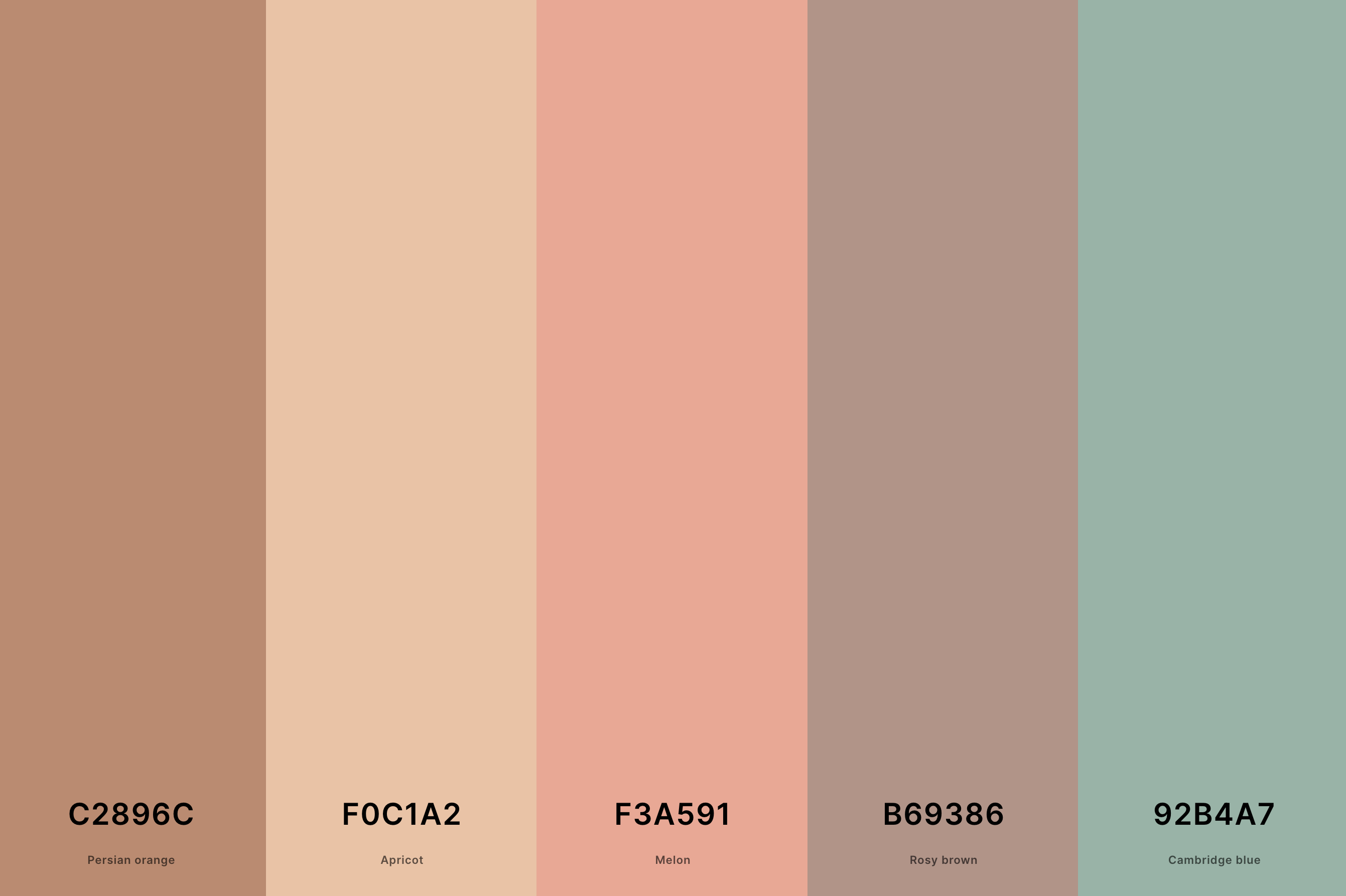 10. Terracotta Pastel Color Palette Color Palette with Persian Orange (Hex #C2896C) + Apricot (Hex #F0C1A2) + Melon (Hex #F3A591) + Rosy Brown (Hex #B69386) + Cambridge Blue (Hex #92B4A7) Color Palette with Hex Codes