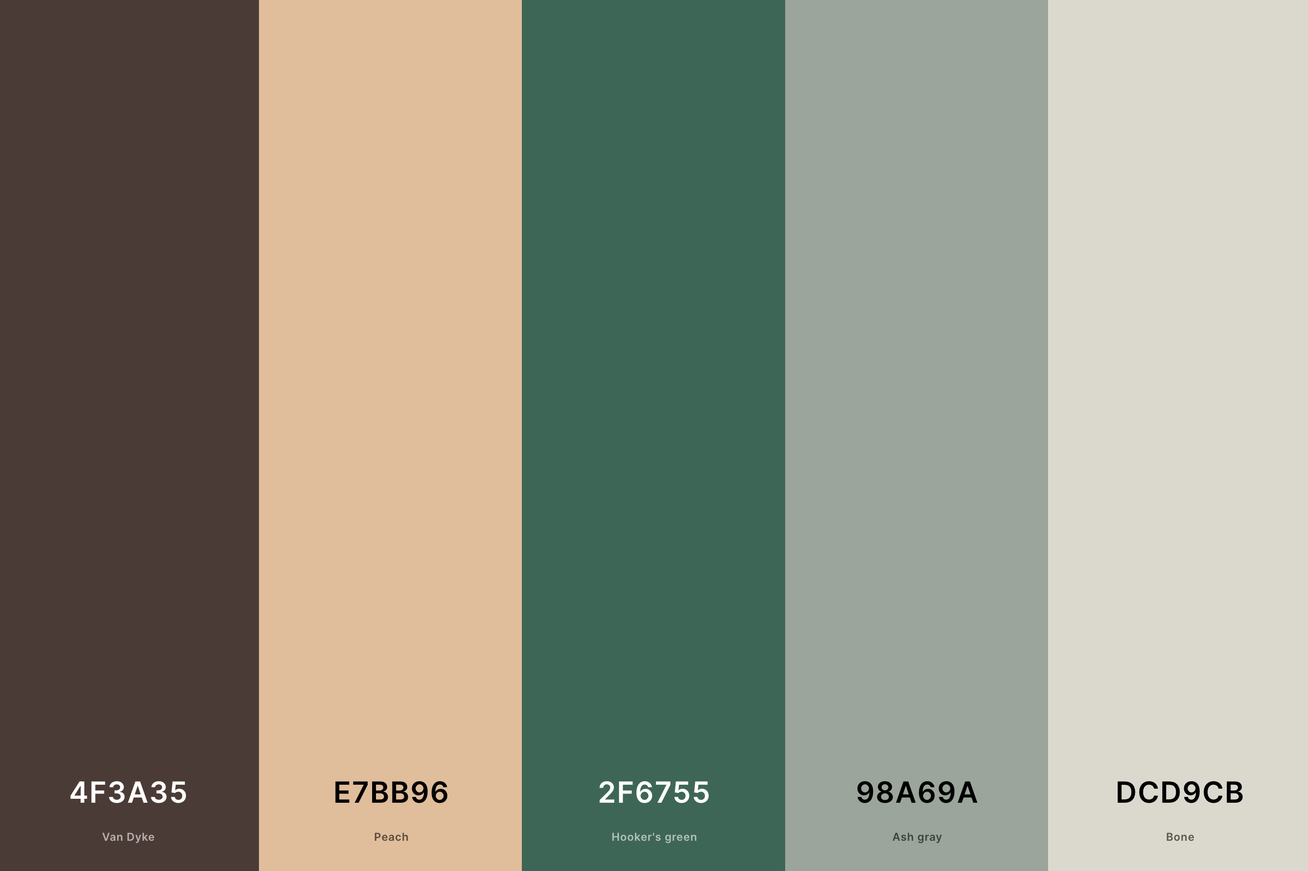25 Best Aesthetic Color Palettes with Names and Hex Codes