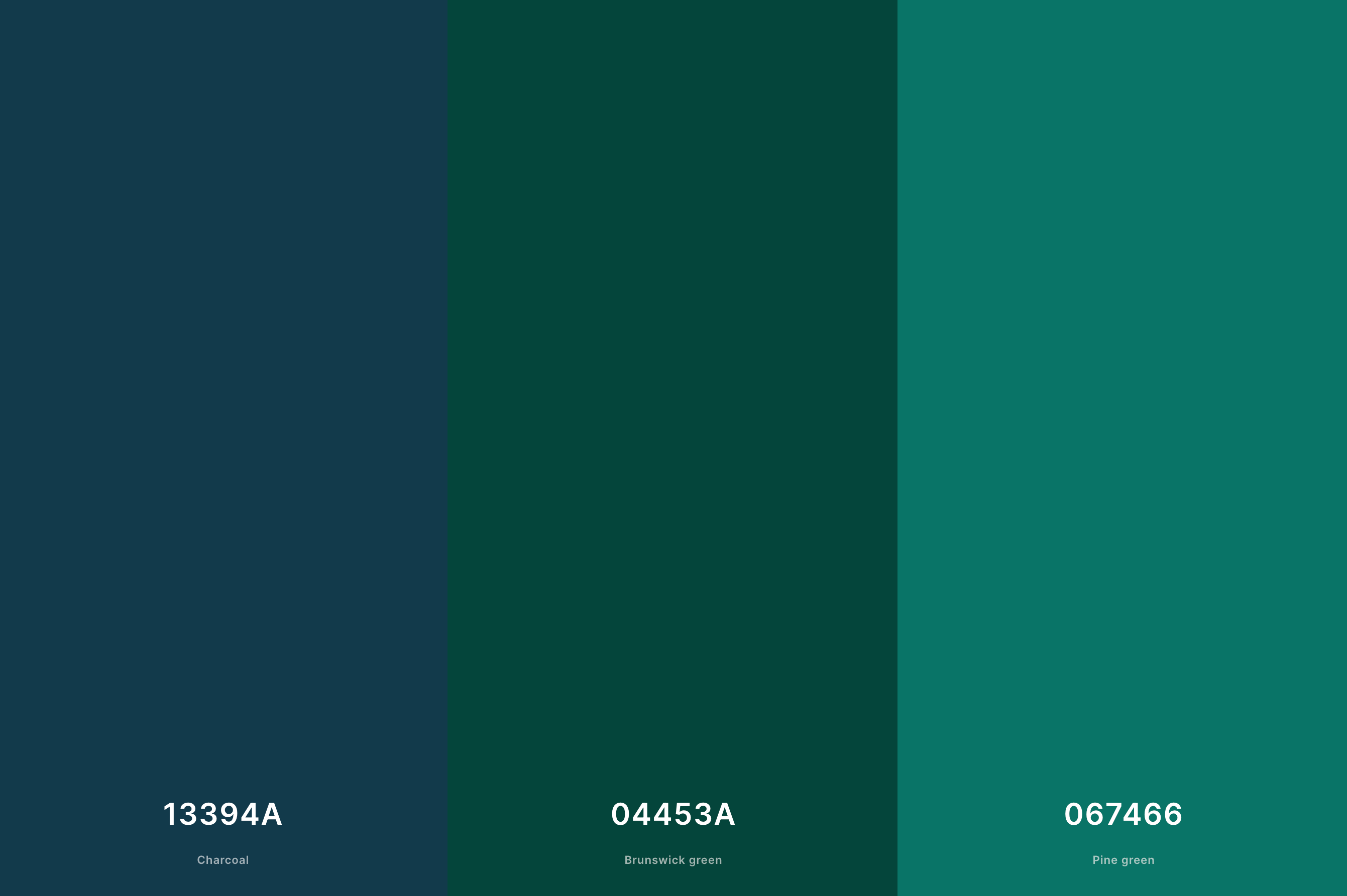 11. Emerald Green and Deep Blue Color Palette with Charcoal (Hex #13394A) + Brunswick Green (Hex #04453A) + Pine Green (Hex #067466) with Hex Codes