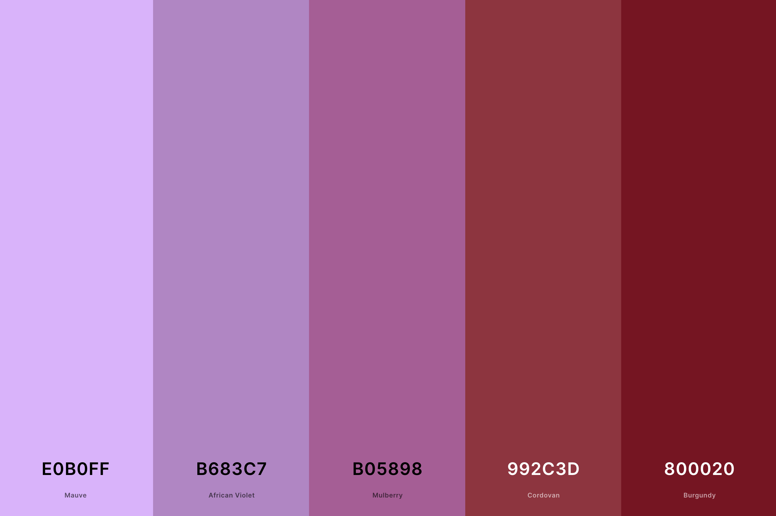 11. Mauve And Burgundy Color Palette Color Palette with Mauve (Hex #E0B0FF) + African Violet (Hex #B683C7) + Mulberry (Hex #B05898) + Cordovan (Hex #992C3D) + Burgundy (Hex #800020) Color Palette with Hex Codes