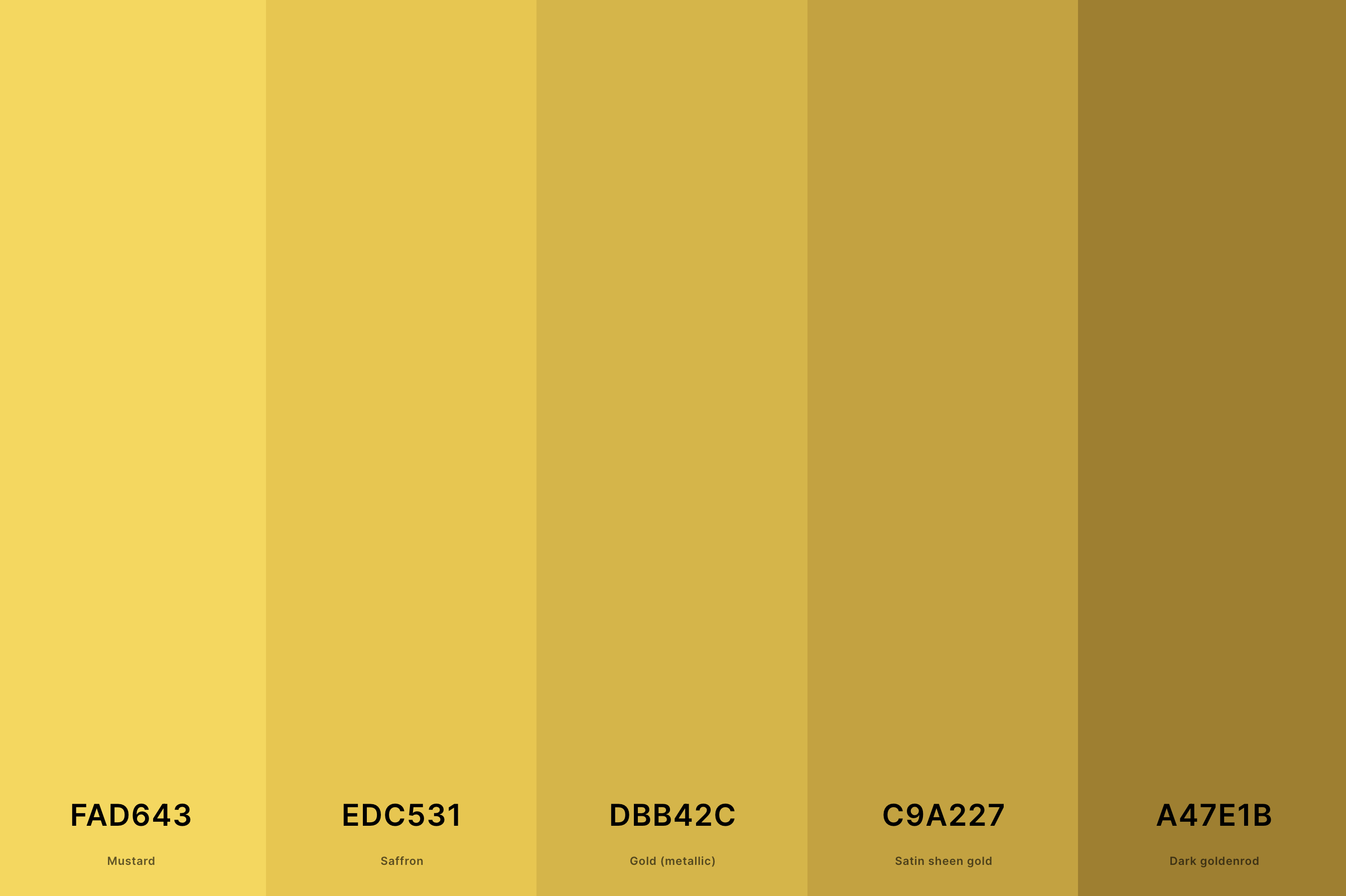 11. Metallic Gold Color Palette Color Palette with Mustard (Hex #FAD643) + Saffron (Hex #EDC531) + Gold (Metallic) (Hex #DBB42C) + Satin Sheen Gold (Hex #C9A227) + Dark Goldenrod (Hex #A47E1B) Color Palette with Hex Codes