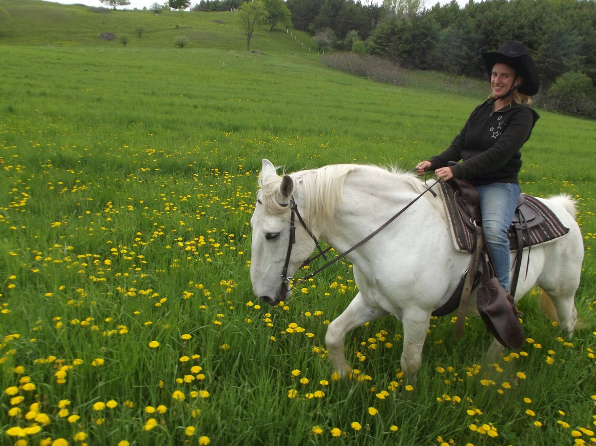 11. Rawhide Horseback Riding Adventures