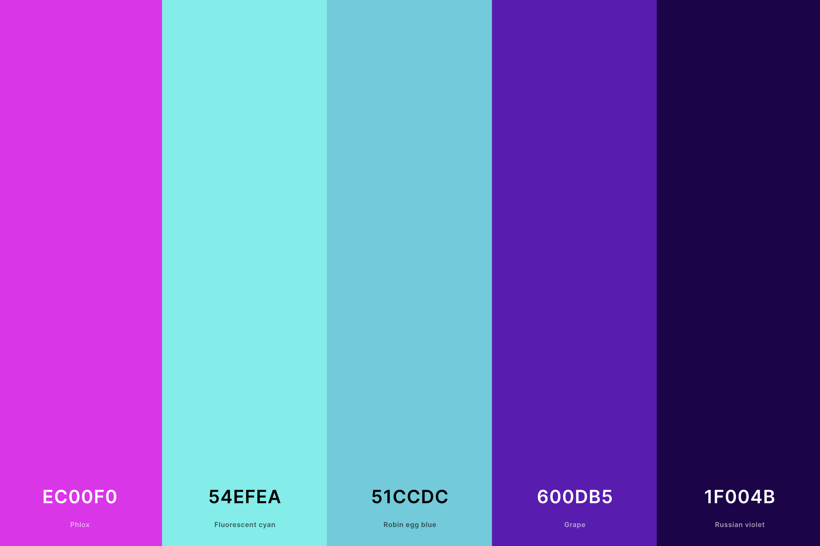 11. Retro Cyberpunk Color Palette Color Palette with Phlox (Hex #EC00F0) + Fluorescent Cyan (Hex #54EFEA) + Robin Egg Blue (Hex #51CCDC) + Grape (Hex #600DB5) + Russian Violet (Hex #1F004B) Color Palette with Hex Codes