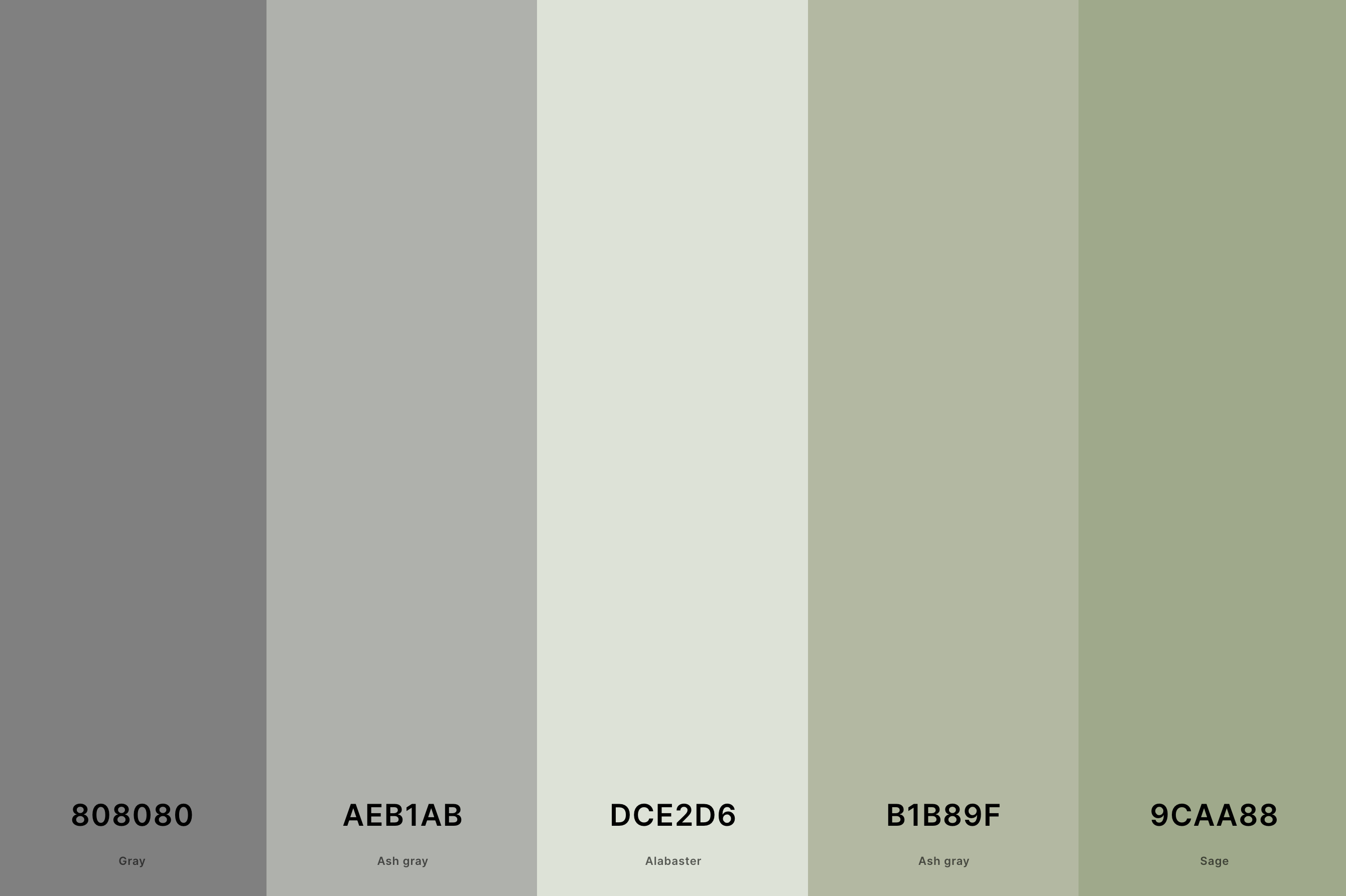 11. Sage Green And Grey Color Palette Color Palette with Gray (Hex #808080) + Ash Gray (Hex #AEB1AB) + Alabaster (Hex #DCE2D6) + Ash Gray (Hex #B1B89F) + Sage (Hex #9CAA88) Color Palette with Hex Codes