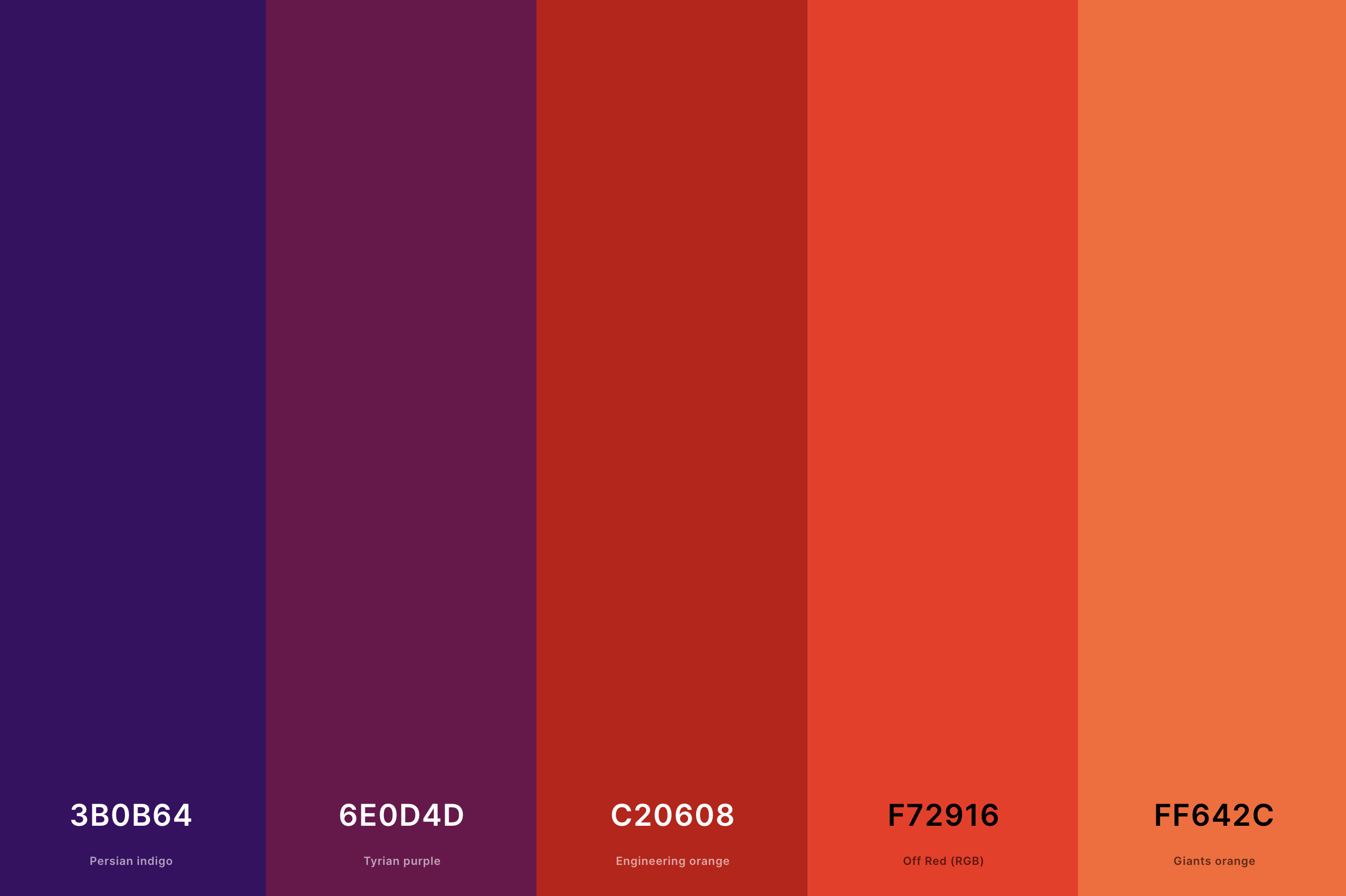 25+ Best Sunset Color Palettes with Names and Hex Codes – CreativeBooster