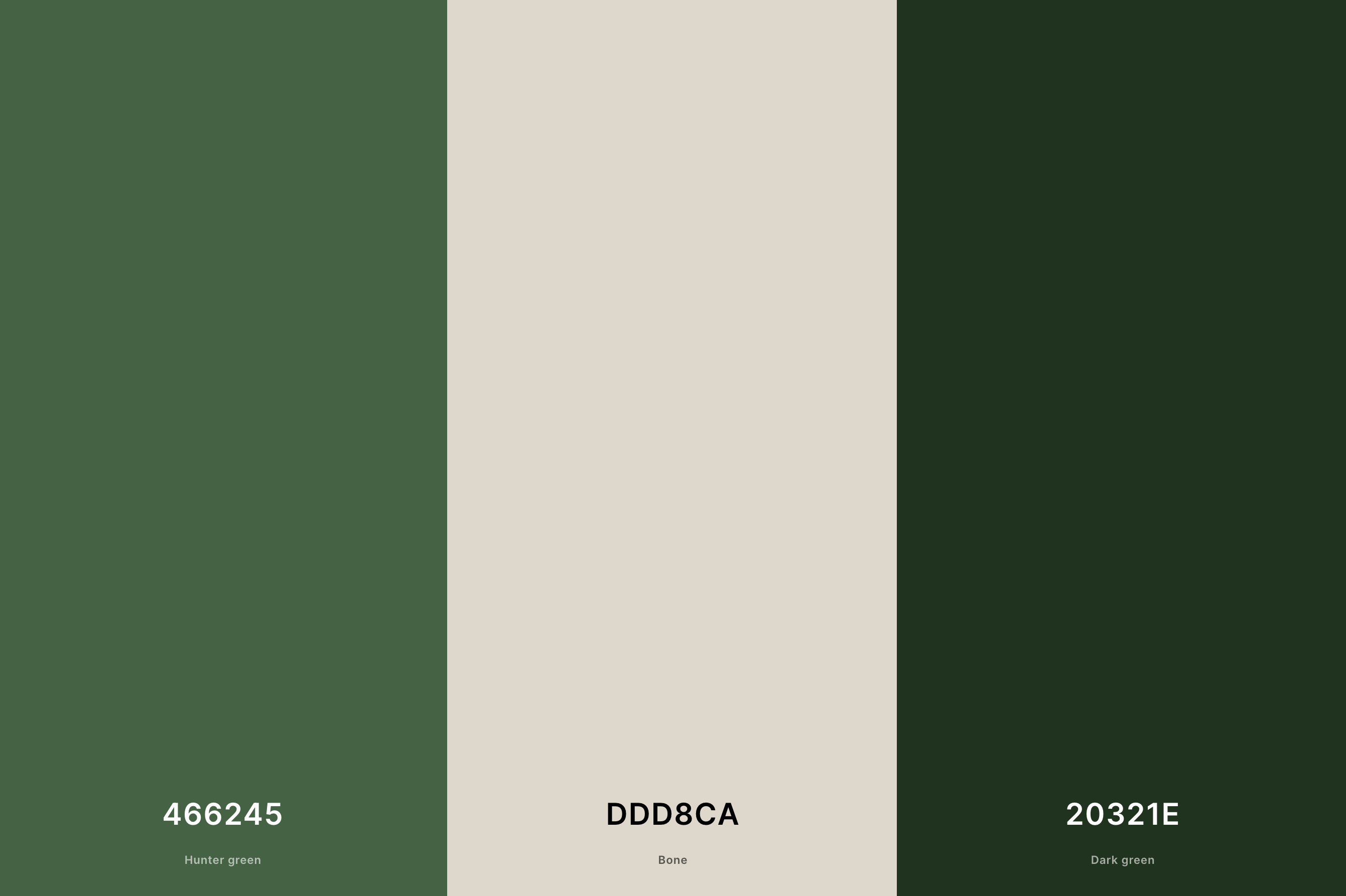 12. Forest Green and Soft Cream Color Palette with Hunter Green (Hex #466245) + Bone (Hex #DDD8CA) + Dark Green (Hex #20321E) with Hex Codes