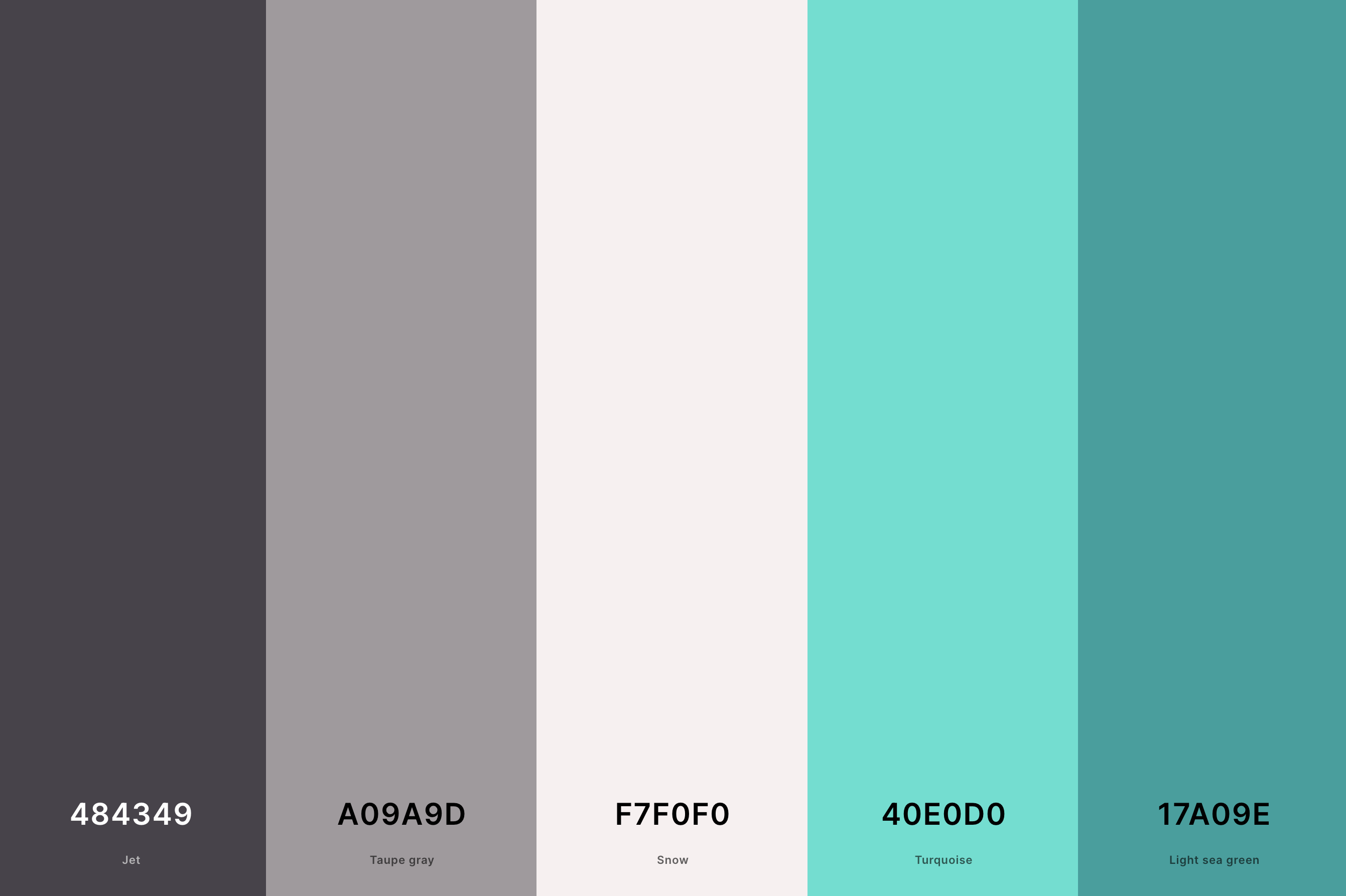 12. Grey And Turquoise Color Palette Color Palette with Jet (Hex #484349) + Taupe Gray (Hex #A09A9D) + Snow (Hex #F7F0F0) + Turquoise (Hex #40E0D0) + Light Sea Green (Hex #17A09E) Color Palette with Hex Codes