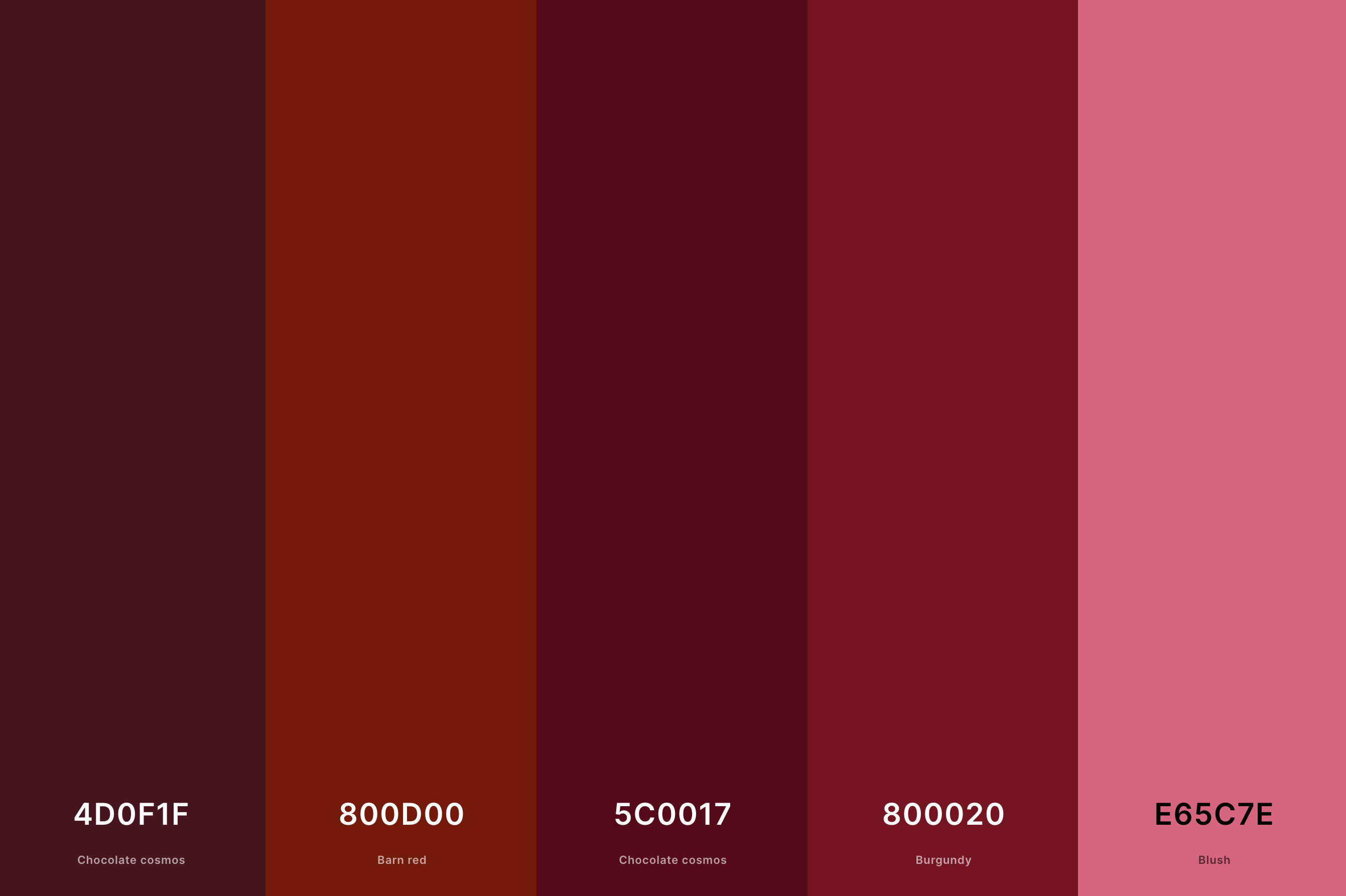12. Terracotta And Burgundy Color Palette Color Palette with Chocolate Cosmos (Hex #4D0F1F) + Barn Red (Hex #800D00) + Chocolate Cosmos (Hex #5C0017) + Burgundy (Hex #800020) + Blush (Hex #E65C7E) Color Palette with Hex Codes