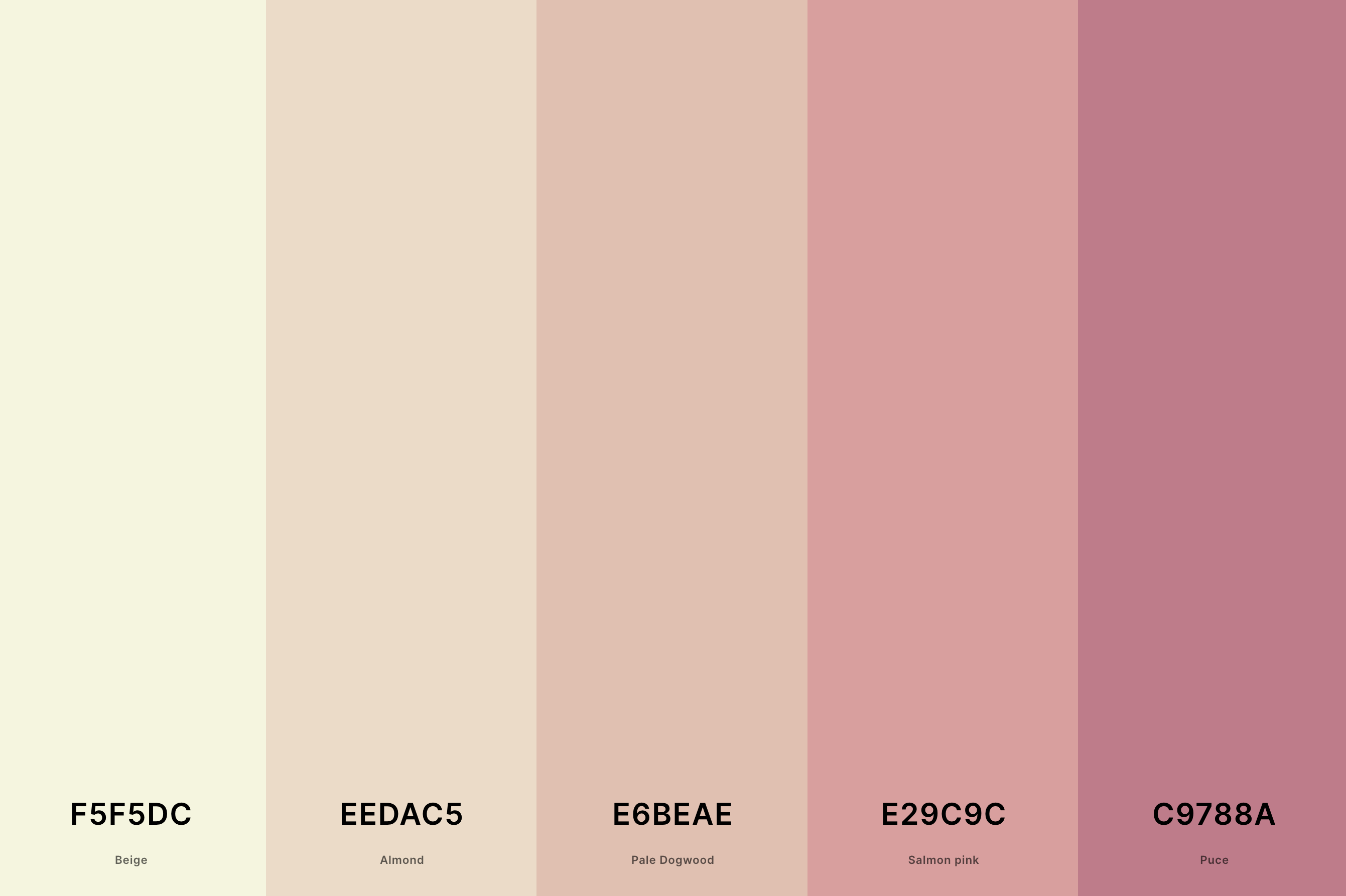 13. Beige And Pink Color Palette Color Palette with Beige (Hex #F5F5DC) + Almond (Hex #EEDAC5) + Pale Dogwood (Hex #E6BEAE) + Salmon Pink (Hex #E29C9C) + Puce (Hex #C9788A) Color Palette with Hex Codes