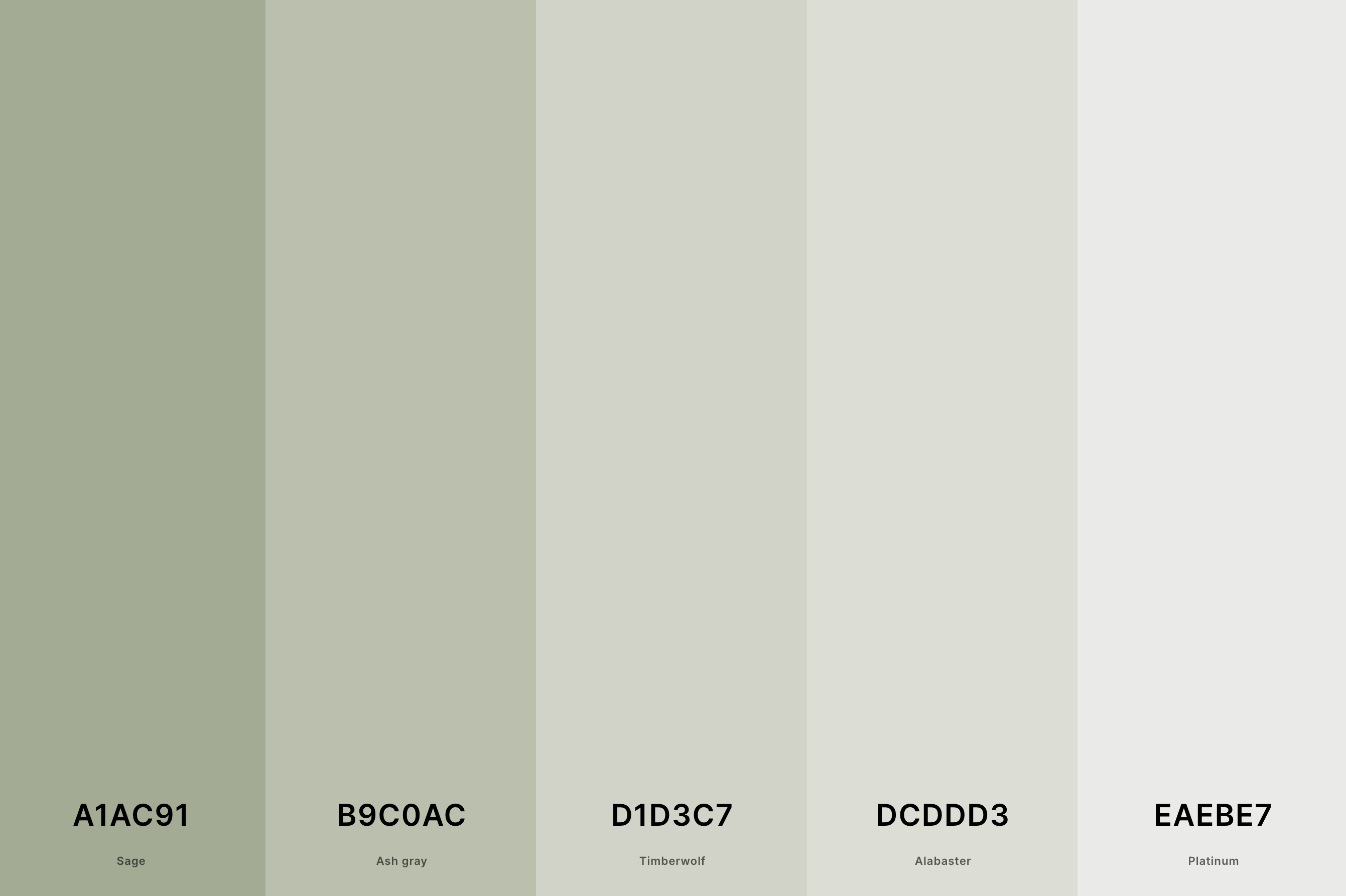 13. Light Sage Green Color Palette Color Palette with Space Cadet (Hex #262842) + Delft Blue (Hex #293961) + Yinmn Blue (Hex #2C497F) + Cool Gray (Hex #8897BD) + Lavender (Web) (Hex #E3E4FA) Color Palette with Hex Codes