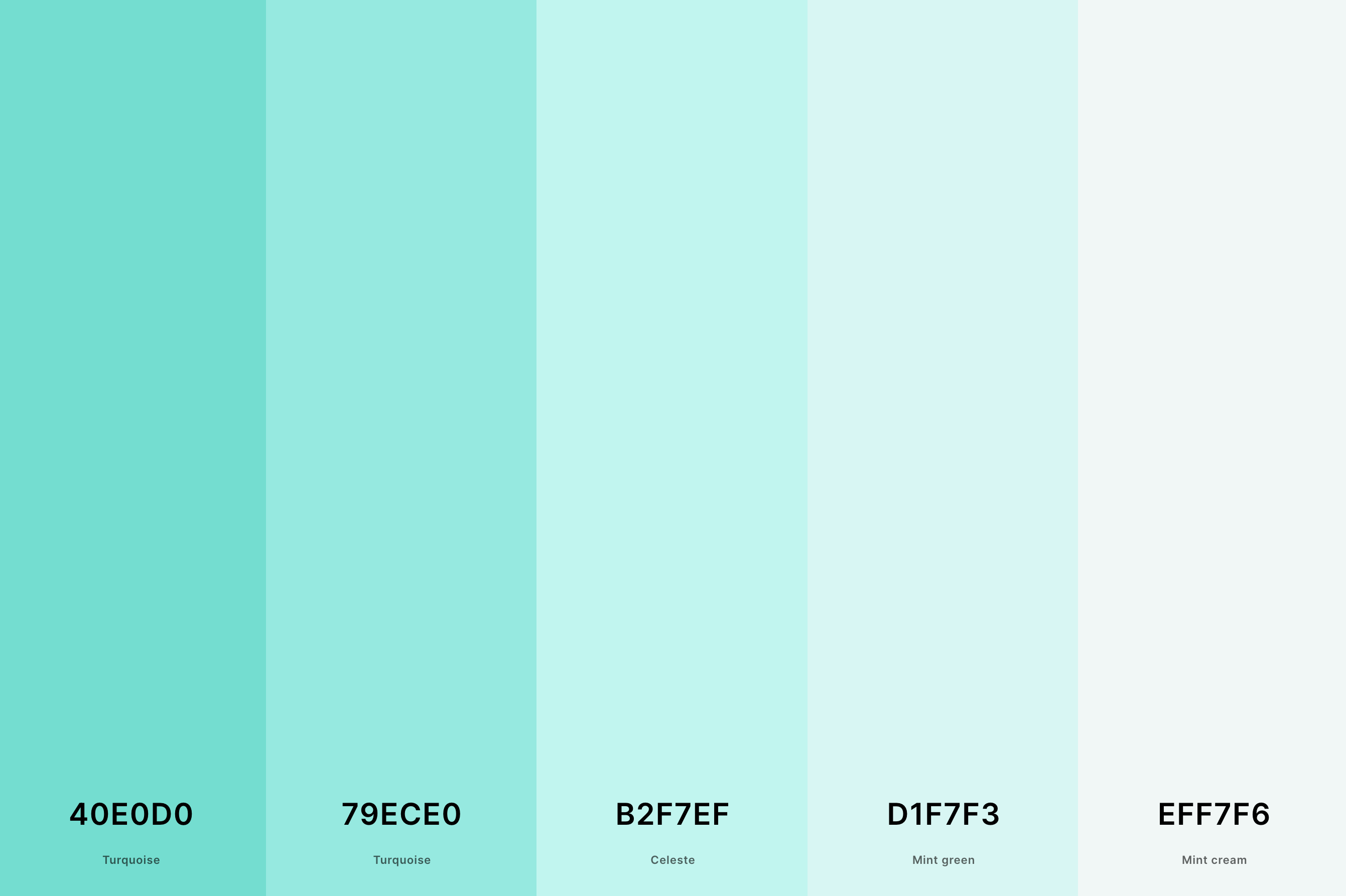 13. Light Turquoise Color Palette Color Palette with Turquoise (Hex #40E0D0) + Turquoise (Hex #79ECE0) + Celeste (Hex #B2F7EF) + Mint Green (Hex #D1F7F3) + Mint Cream (Hex #EFF7F6) Color Palette with Hex Codes