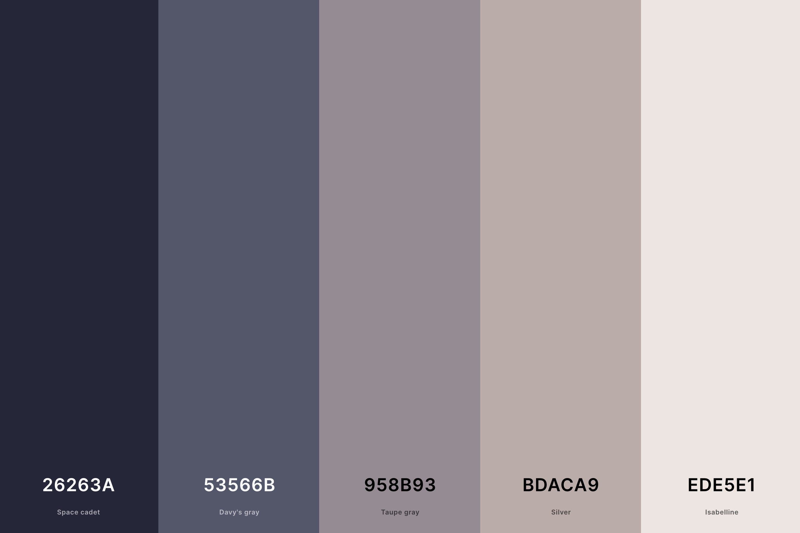 13. Muted Neutral Color Palette Color Palette with Space Cadet (Hex #26263A) + Davy'S Gray (Hex #53566B) + Taupe Gray (Hex #958B93) + Silver (Hex #BDACA9) + Isabelline (Hex #EDE5E1) Color Palette with Hex Codes