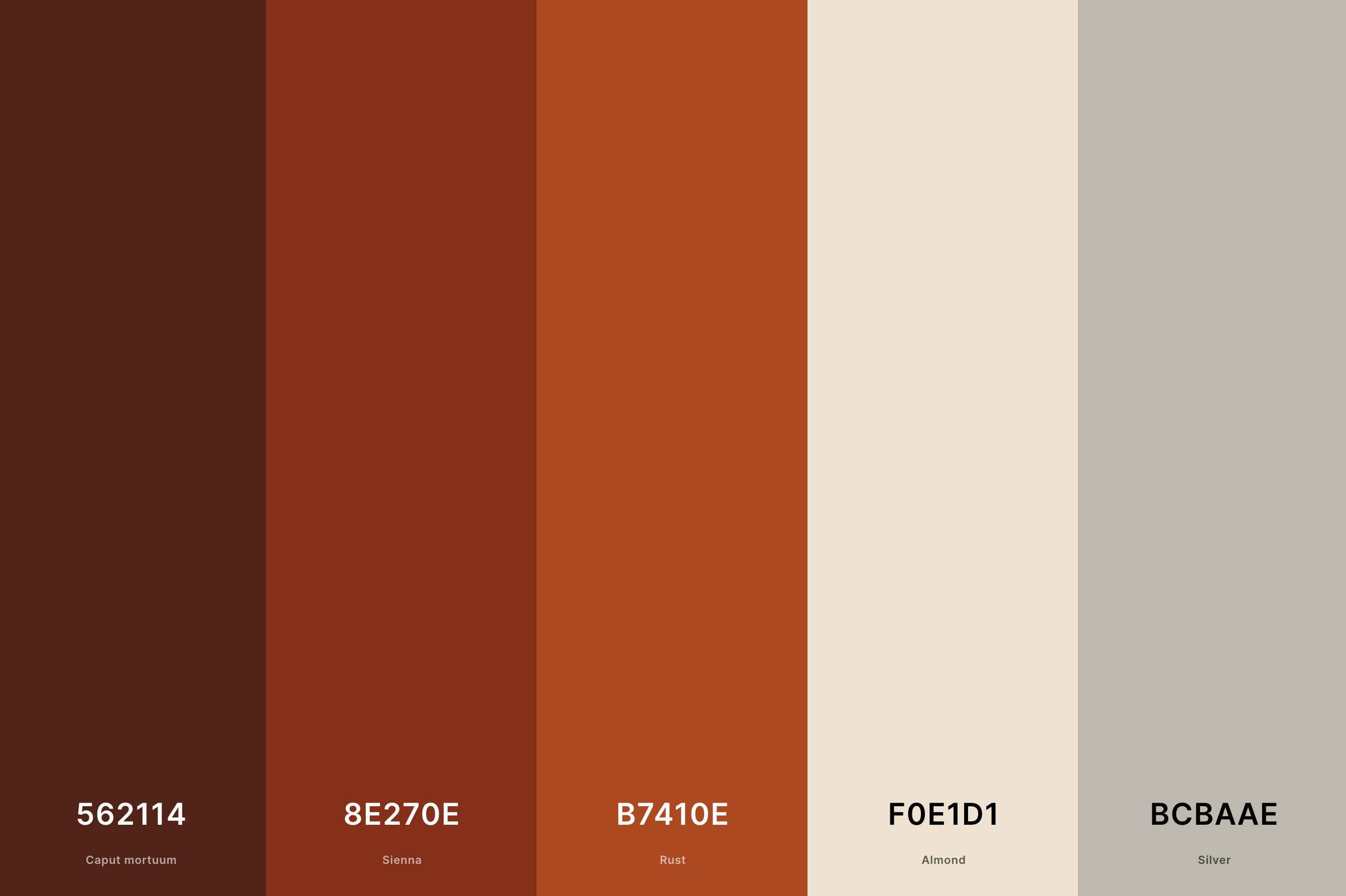 13. Terracotta Rust Color Palette Color Palette with Caput Mortuum (Hex #562114) + Sienna (Hex #8E270E) + Rust (Hex #B7410E) + Almond (Hex #F0E1D1) + Silver (Hex #BCBAAE) Color Palette with Hex Codes