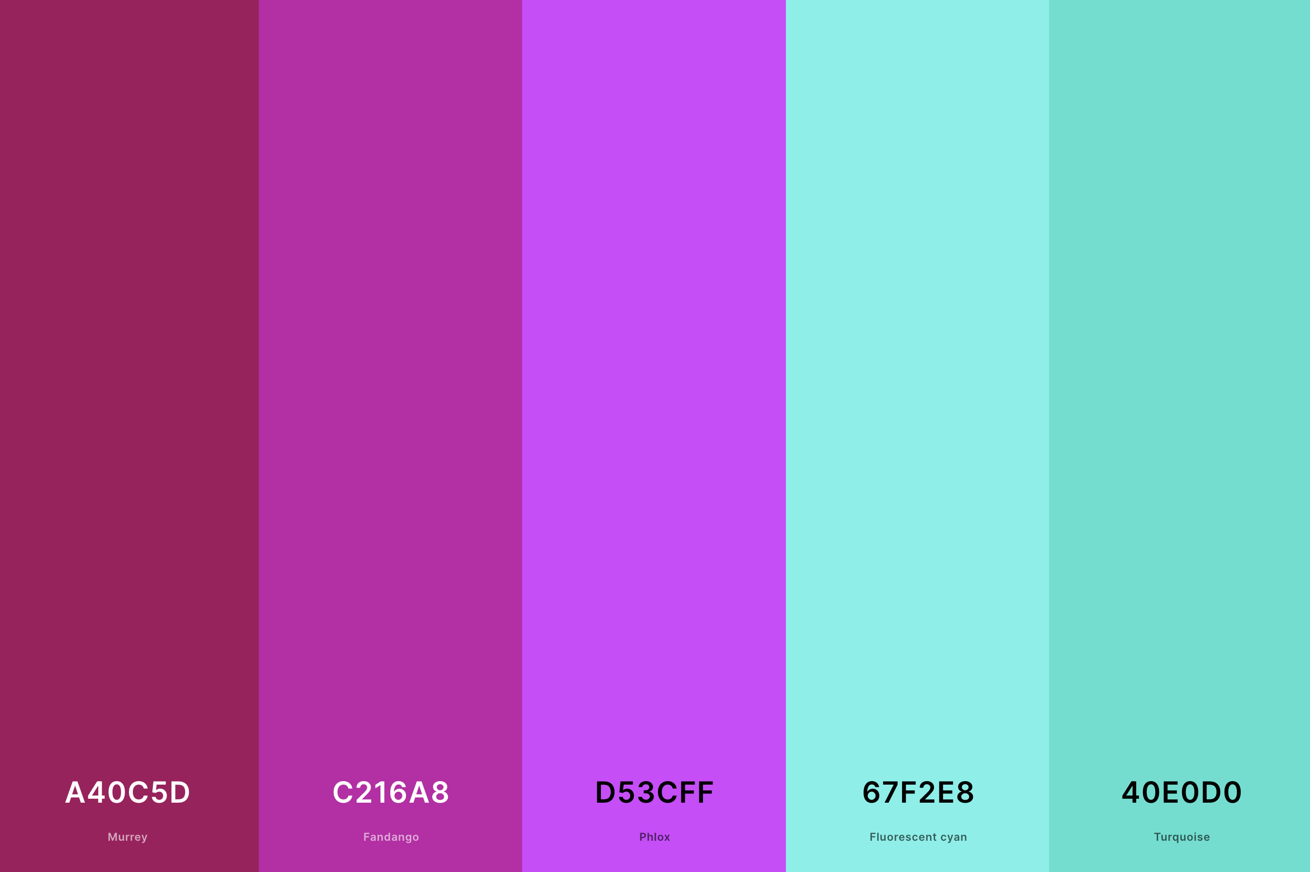 14. Magenta And Turquoise Color Palette Color Palette with Murrey (Hex #A40C5D) + Fandango (Hex #C216A8) + Phlox (Hex #D53CFF) + Fluorescent Cyan (Hex #67F2E8) + Turquoise (Hex #40E0D0) Color Palette with Hex Codes