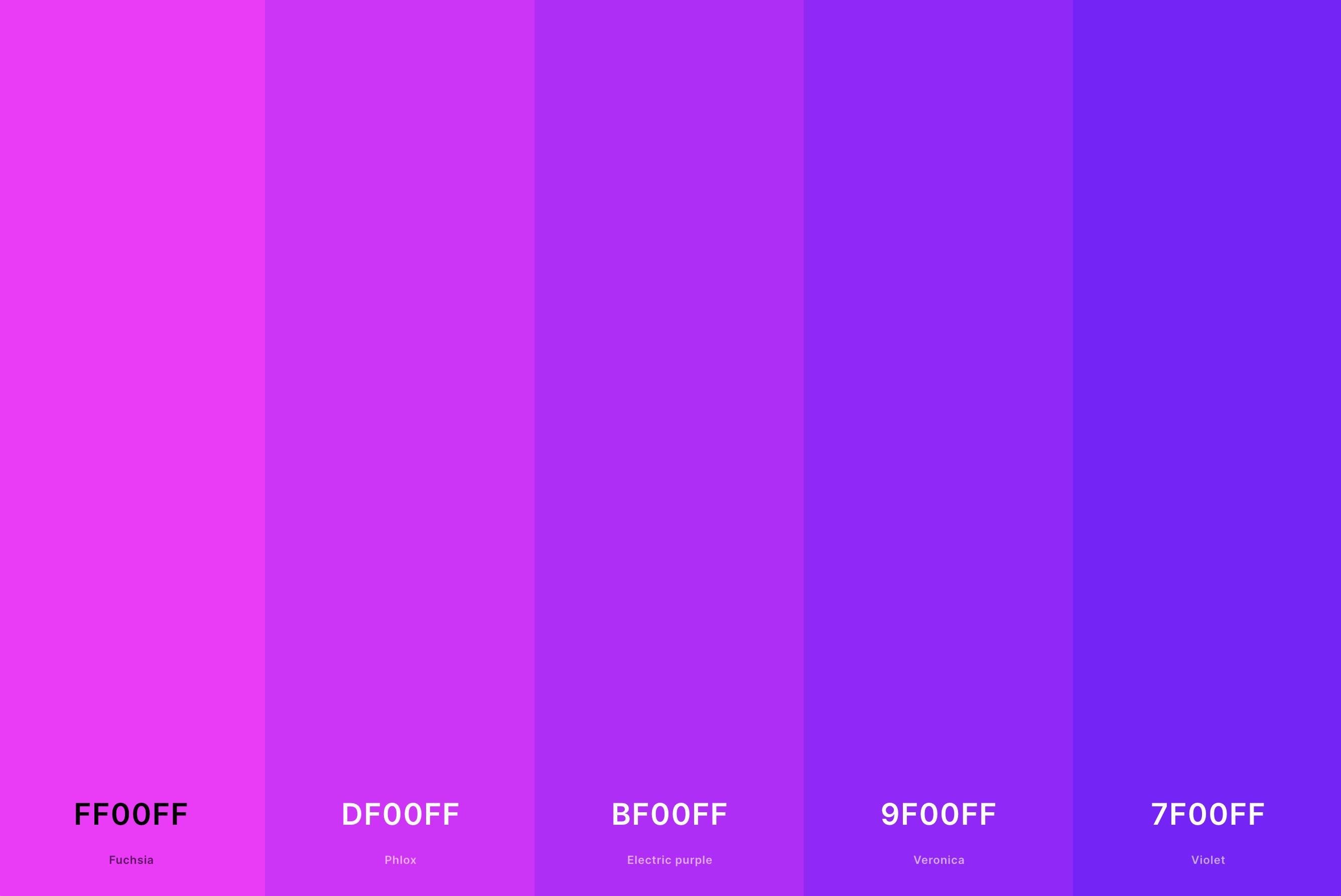 14. Magenta And Violet Color Palette Color Palette with Magenta (Hex #FF00FF) + Phlox (Hex #DF00FF) + Electric Purple (Hex #BF00FF) + Veronica (Hex #9F00FF) + Violet (Hex #7F00FF) Color Palette with Hex Codes