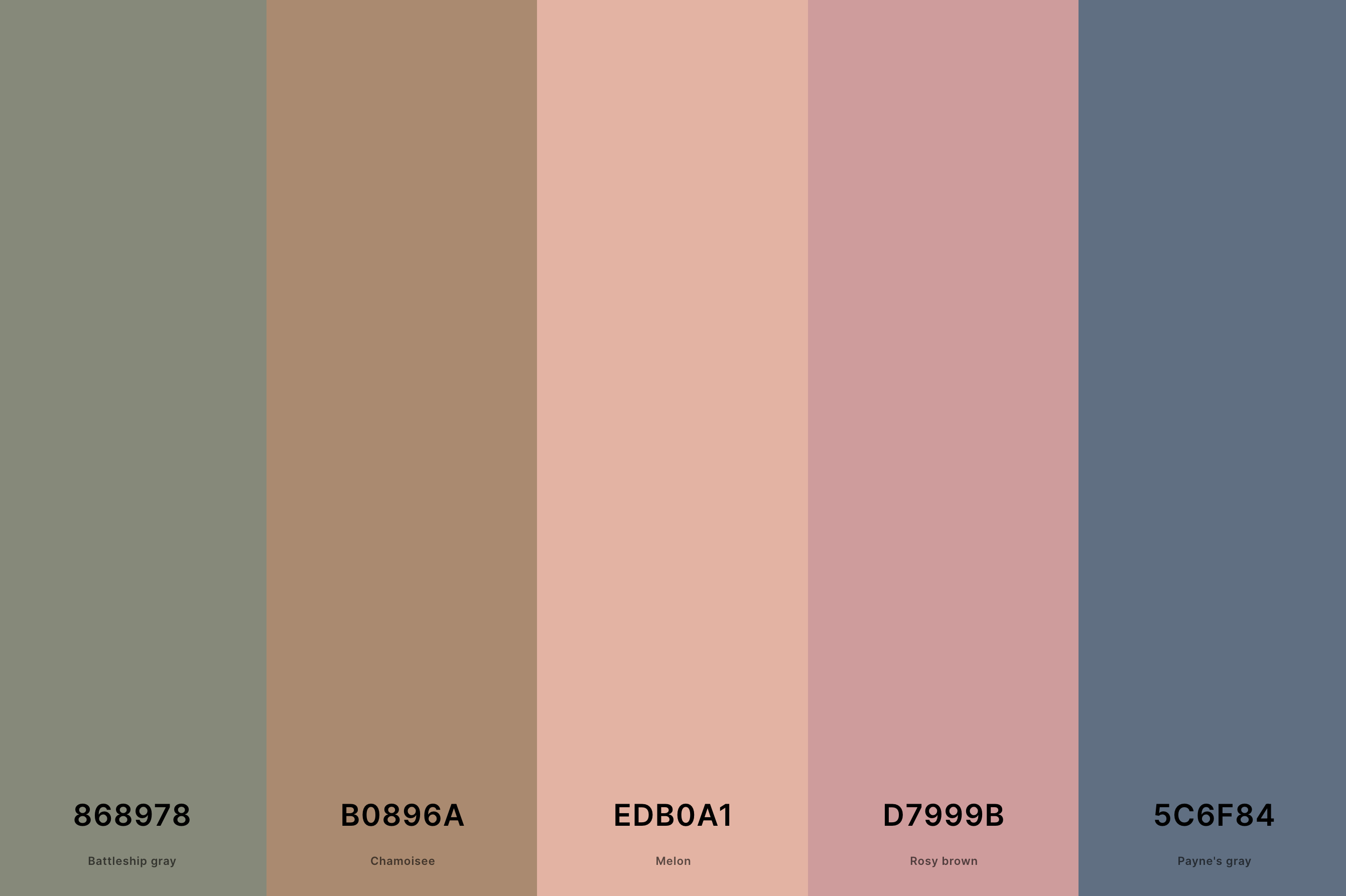14. Neutral Boho Color Palette Color Palette with Battleship Gray (Hex #868978) + Chamoisee (Hex #B0896A) + Melon (Hex #EDB0A1) + Rosy Brown (Hex #D7999B) + Payne'S Gray (Hex #5C6F84) Color Palette with Hex Codes