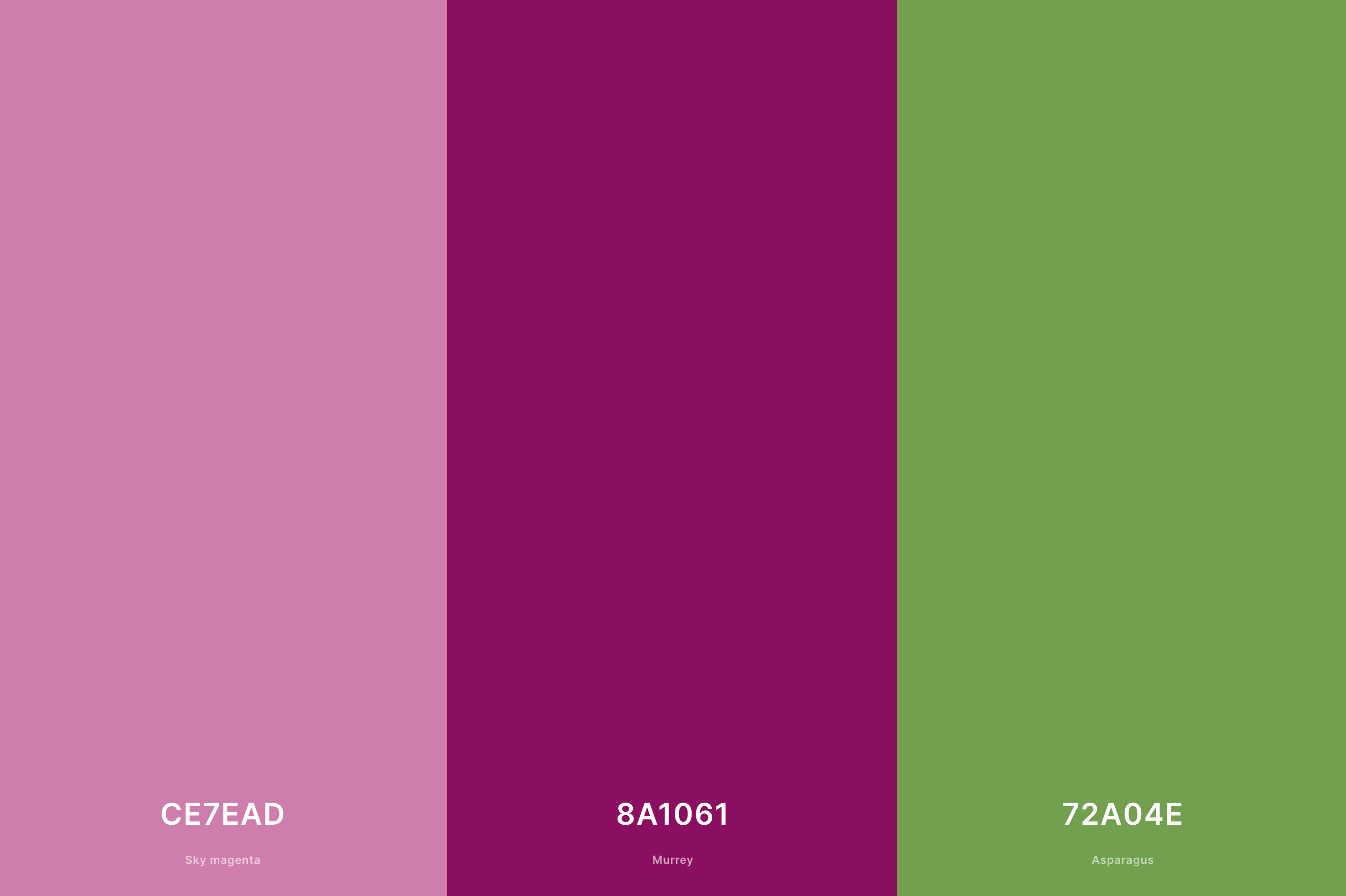 14. Pink, Purple, and Neon Green Color Palette with Sky Magenta (Hex #CE7EAD) + Murrey (Hex #8A1061) + Asparagus (Hex #72A04E) with Hex Codes