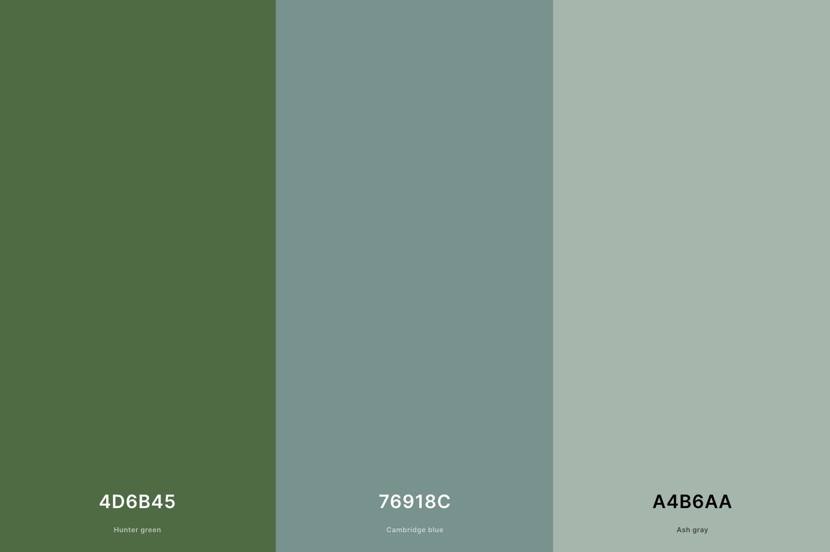 15. Green and Blue Oceanic Color Palette with Hunter Green (Hex #4D6B45) + Cambridge Blue (Hex #76918C) + Ash Gray (Hex #A4B6AA) with Hex Codes