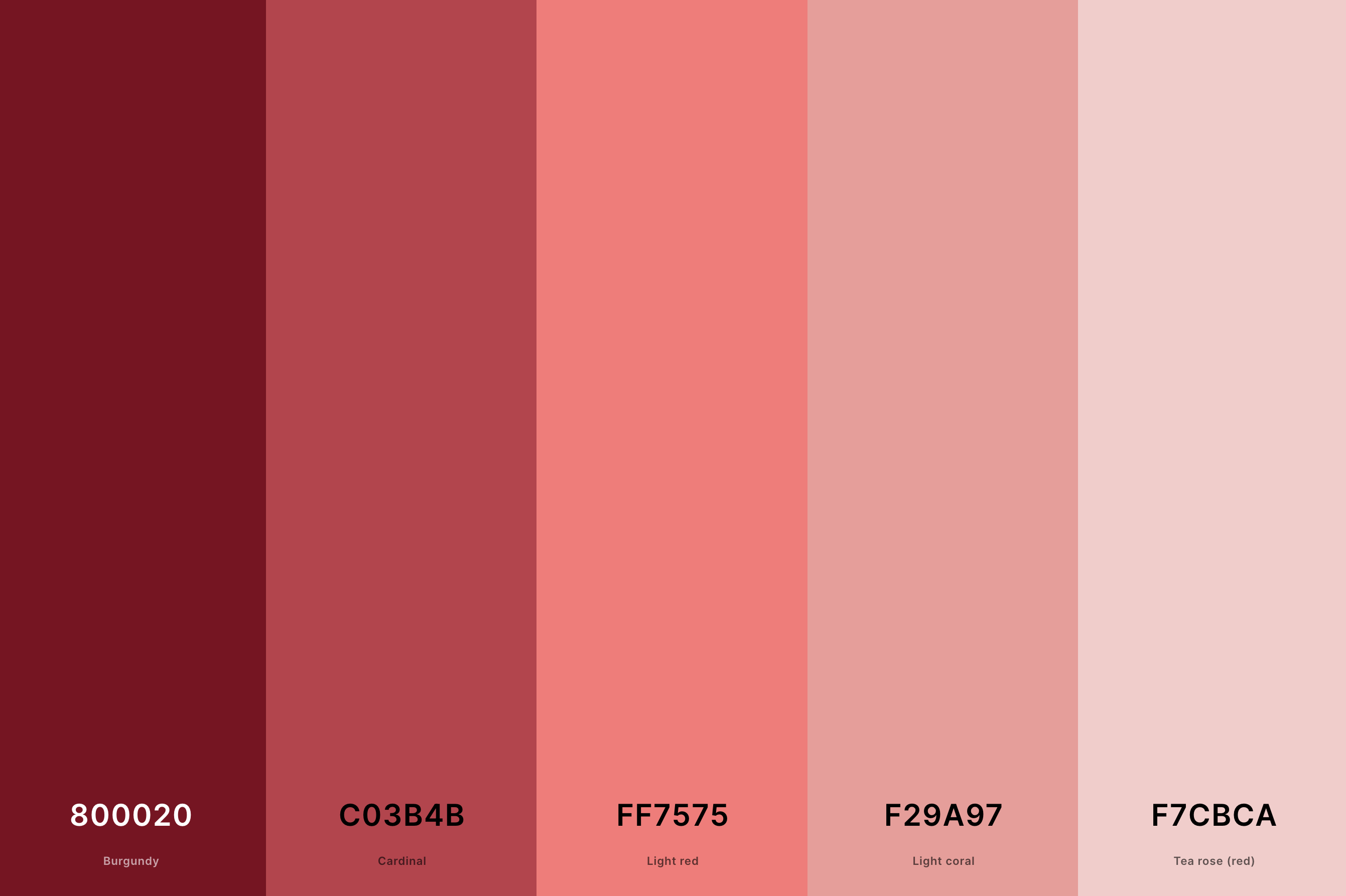 15. Rose Gold And Burgundy Color Palette Color Palette with Burgundy (Hex #800020) + Cardinal (Hex #C03B4B) + Light Red (Hex #FF7575) + Light Coral (Hex #F29A97) + Tea Rose (Red) (Hex #F7CBCA) Color Palette with Hex Codes