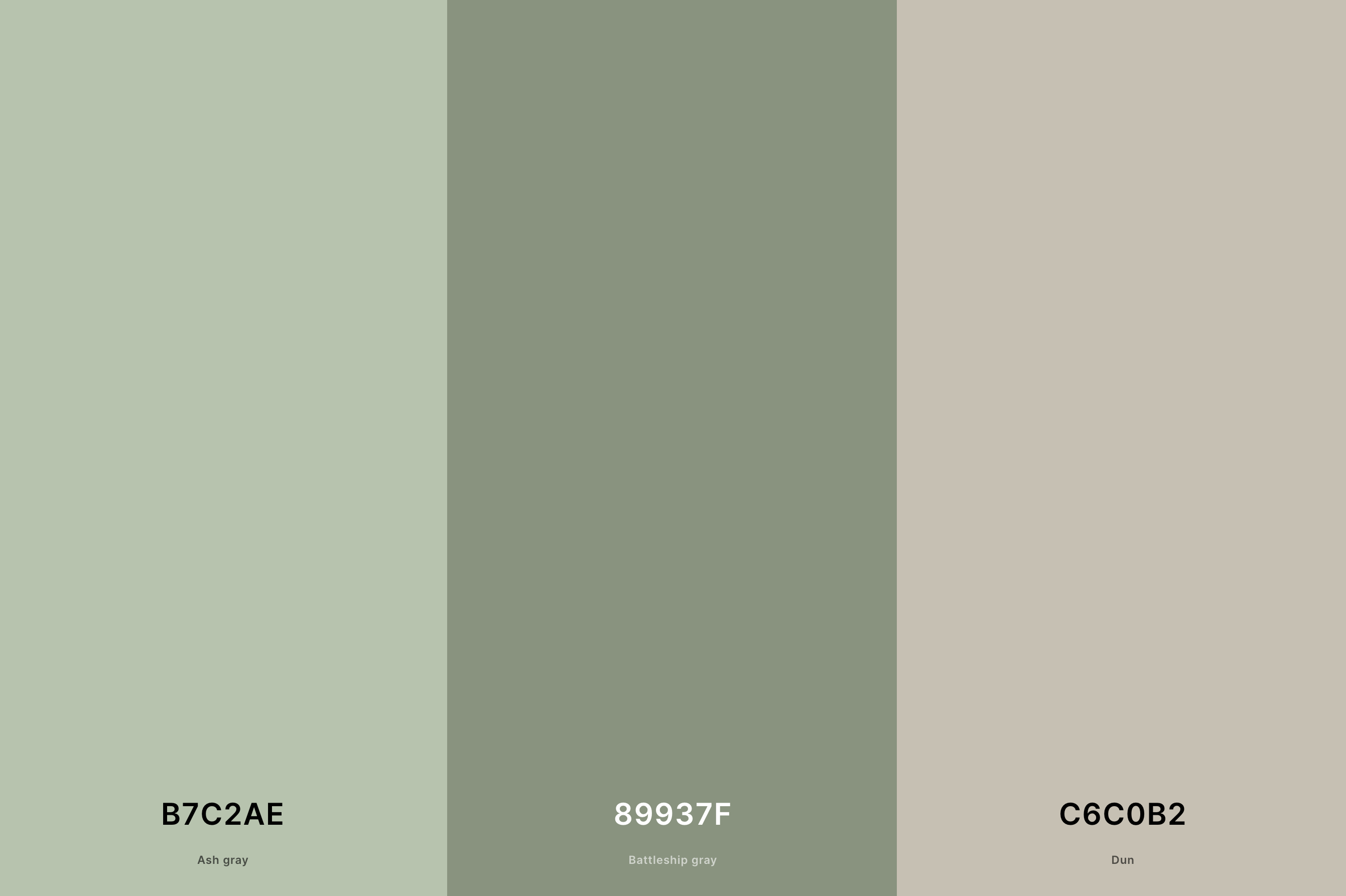 16. Light Green and Gray Cool Color Palette with Ash Gray (Hex #B7C2AE) + Battleship Gray (Hex #89937F) + Dun (Hex #C6C0B2) with Hex Codes