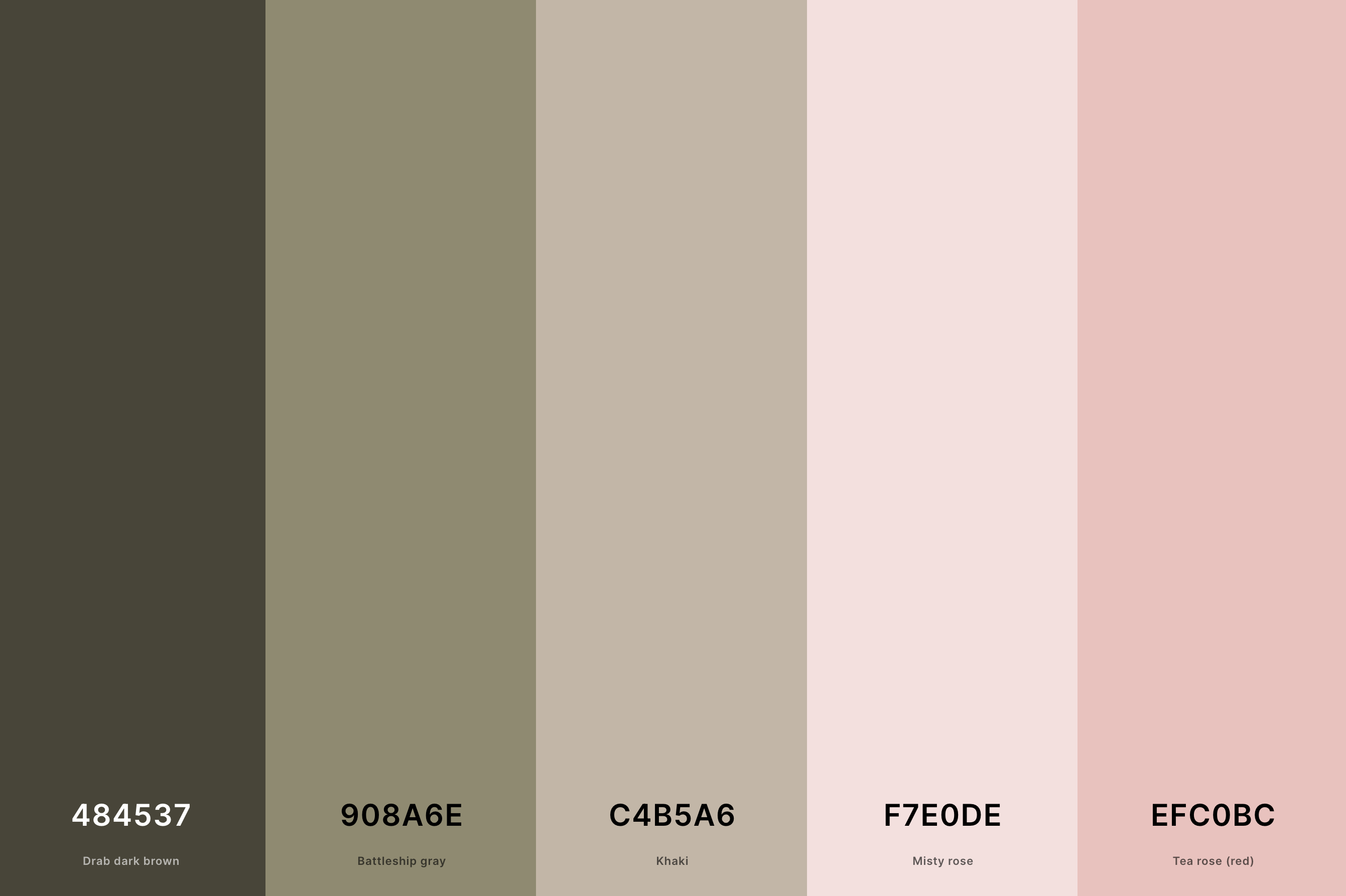 16. Sage Green And Blush Pink Color Palette Color Palette with Drab Dark Brown (Hex #484537) + Battleship Gray (Hex #908A6E) + Khaki (Hex #C4B5A6) + Misty Rose (Hex #F7E0DE) + Tea Rose (Red) (Hex #EFC0BC) Color Palette with Hex Codes