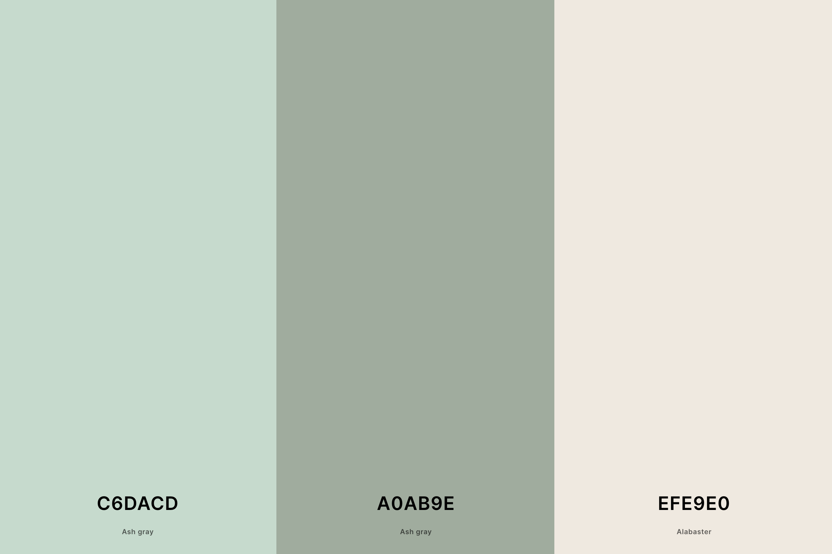17. Seafoam Green and White Beach Color Palette with Ash Gray (Hex #C6DACD) + Ash Gray (Hex #A0AB9E) + Alabaster (Hex #EFE9E0) with Hex Codes
