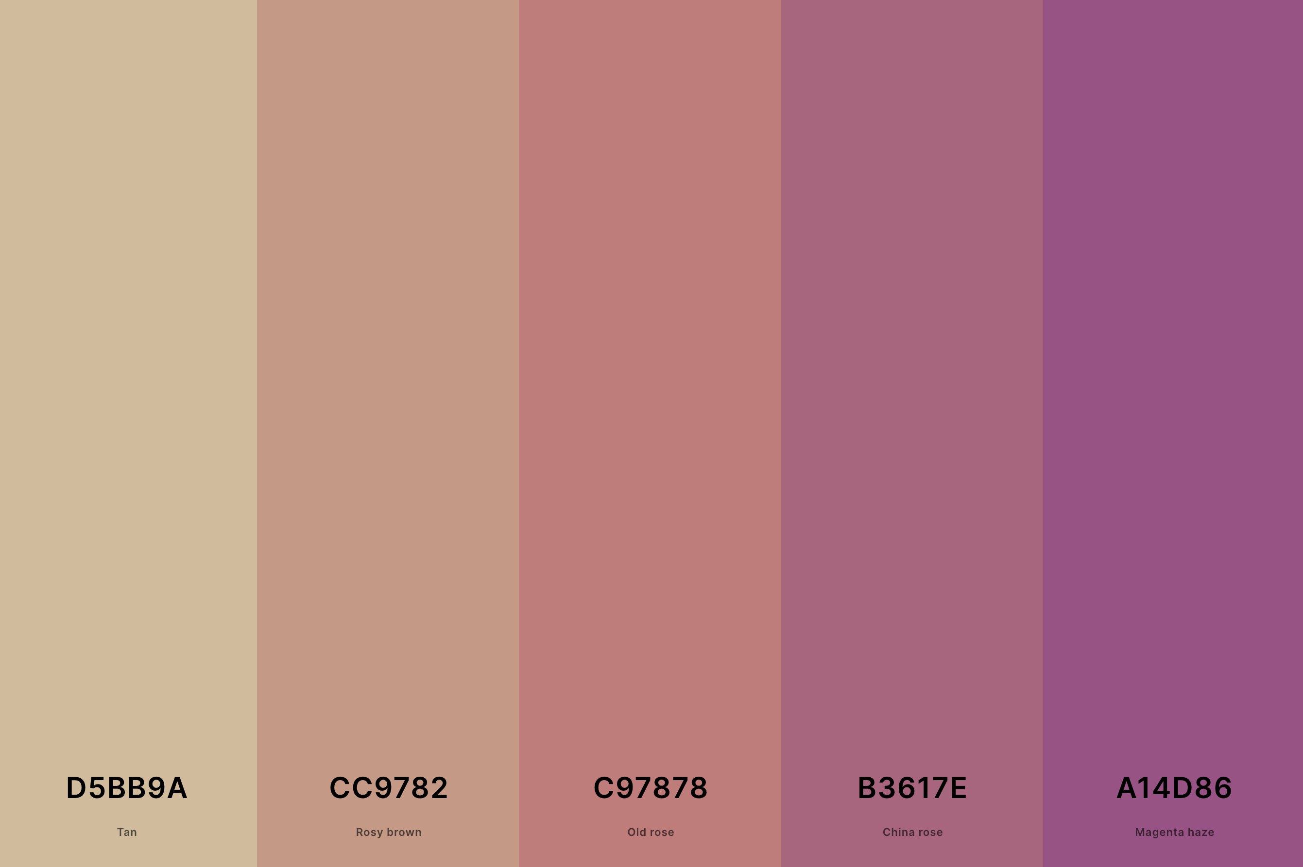 17. Warm Tan Color Palette Color Palette with Tan (Hex #D5BB9A) + Rosy Brown (Hex #CC9782) + Old Rose (Hex #C97878) + China Rose (Hex #B3617E) + Magenta Haze (Hex #A14D86) Color Palette with Hex Codes