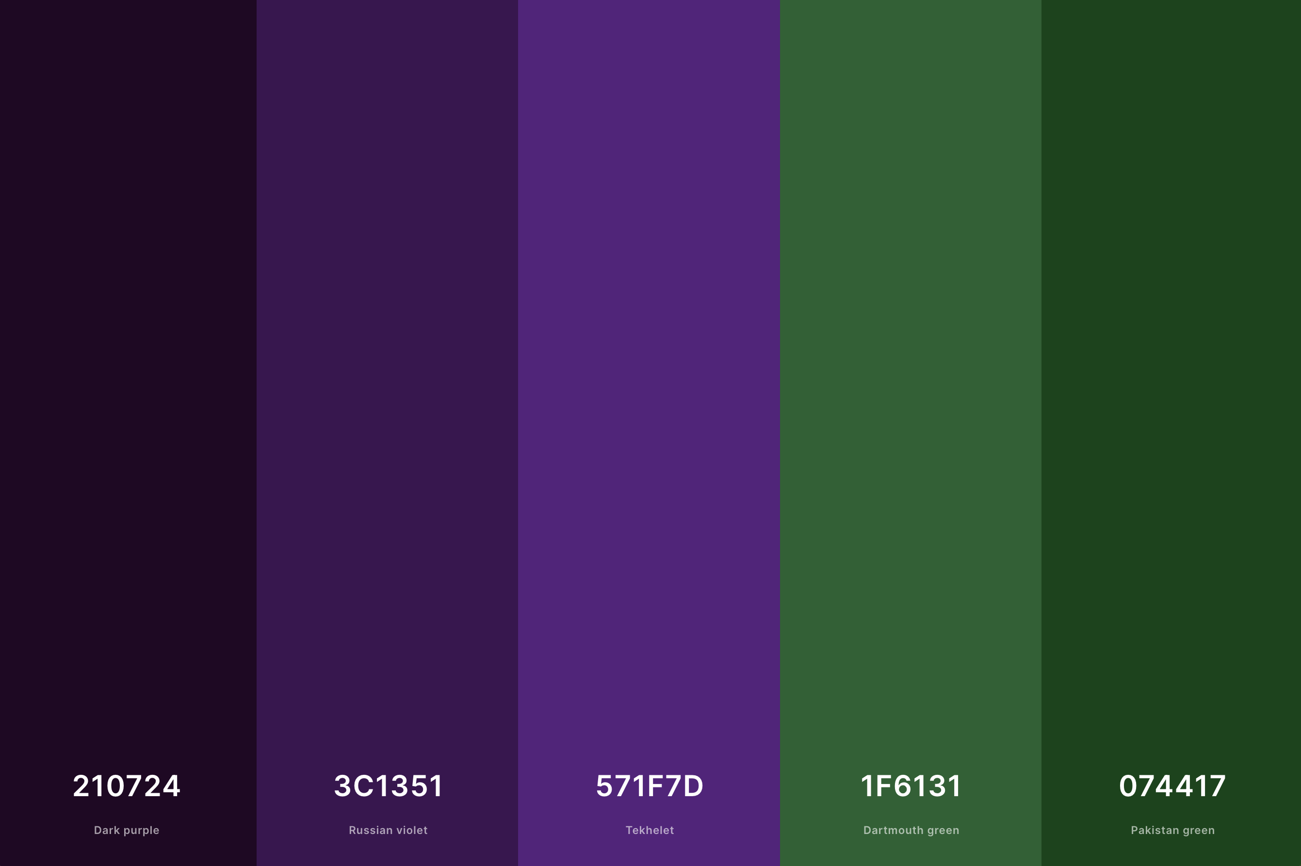 18. Dark Purple And Green Color Palette Color Palette with Dark Purple (Hex #210724) + Russian Violet (Hex #3C1351) + Tekhelet (Hex #571F7D) + Dartmouth Green (Hex #1F6131) + Pakistan Green (Hex #074417) Color Palette with Hex Codes
