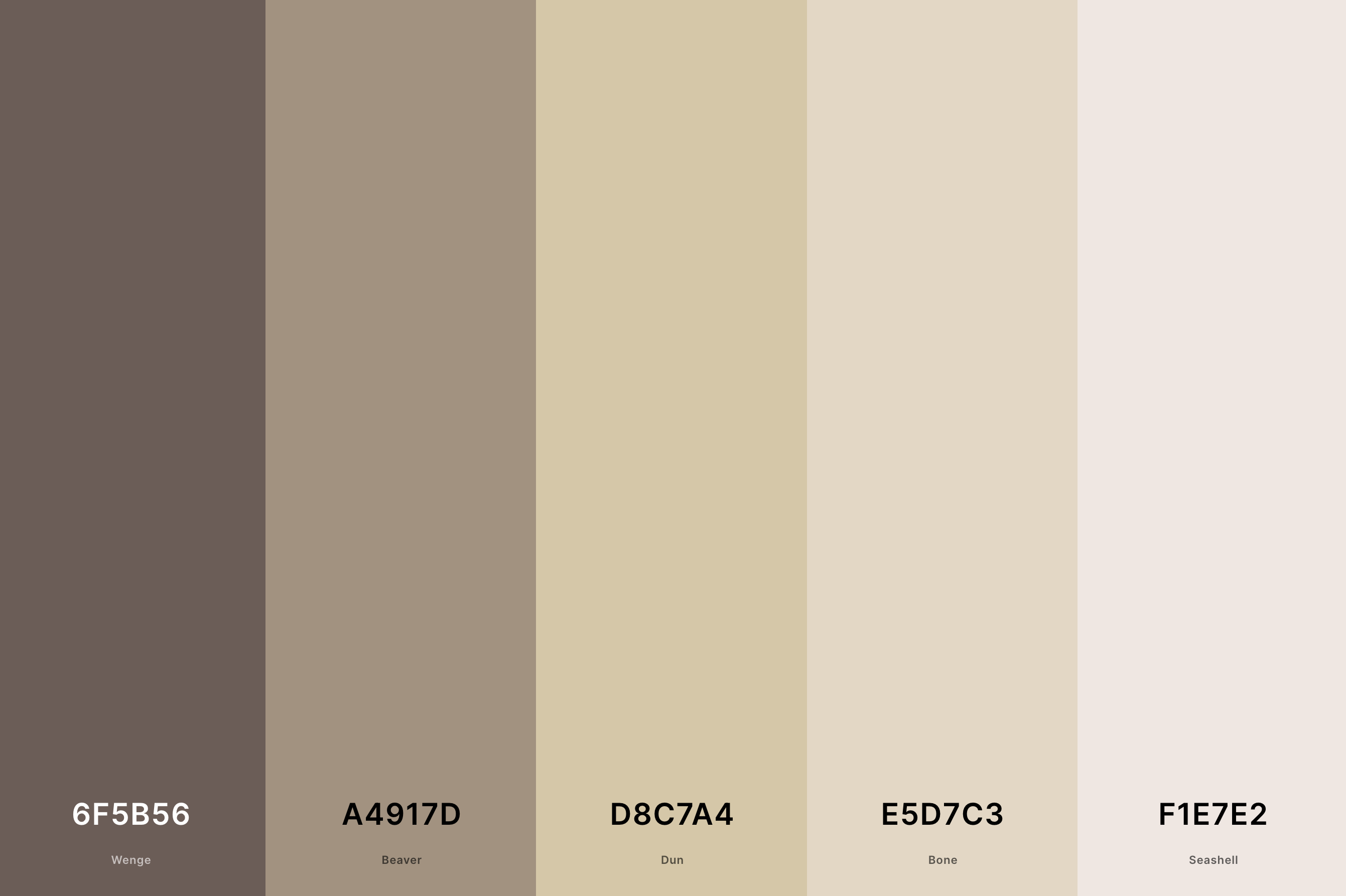 18. Desert Tan Color Palette Color Palette with Wenge (Hex #6F5B56) + Beaver (Hex #A4917D) + Dun (Hex #D8C7A4) + Bone (Hex #E5D7C3) + Seashell (Hex #F1E7E2) Color Palette with Hex Codes