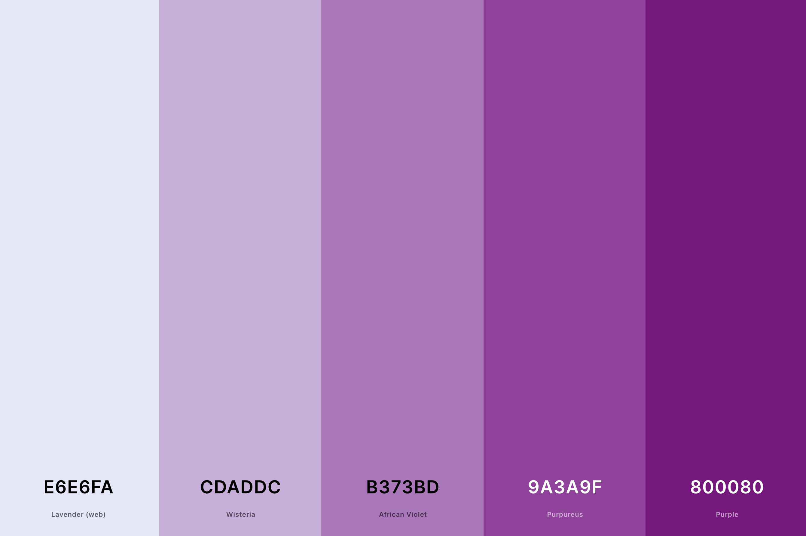 18. Lavender And Purple Color Palette Color Palette with Lavender (Web) (Hex #E6E6FA) + Wisteria (Hex #CDADDC) + African Violet (Hex #B373BD) + Purpureus (Hex #9A3A9F) + Purple (Hex #800080) Color Palette with Hex Codes