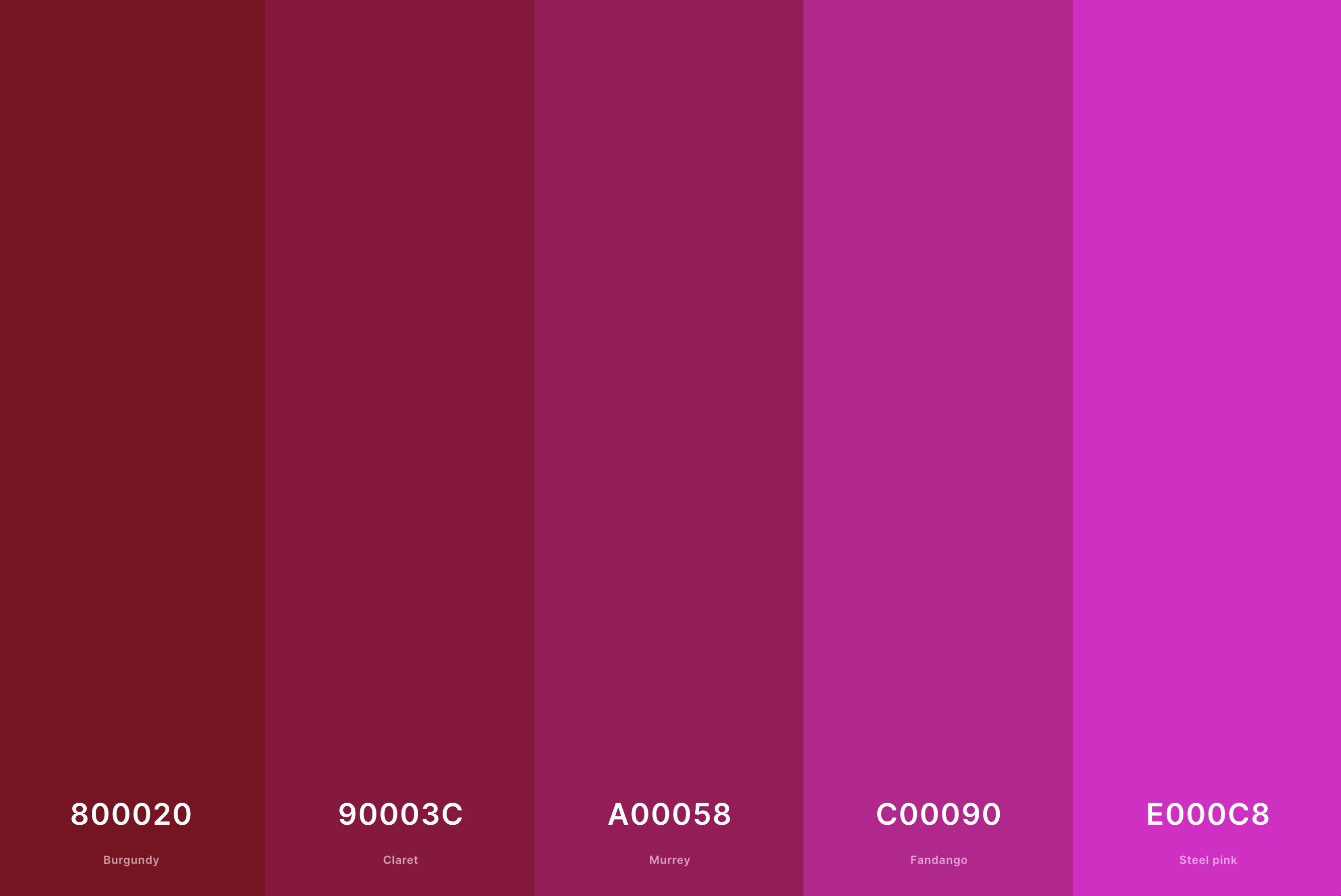 18. Magenta And Burgundy Color Palette Color Palette with Burgundy (Hex #800020) + Claret (Hex #90003C) + Murrey (Hex #A00058) + Fandango (Hex #C00090) + Steel Pink (Hex #E000C8) Color Palette with Hex Codes