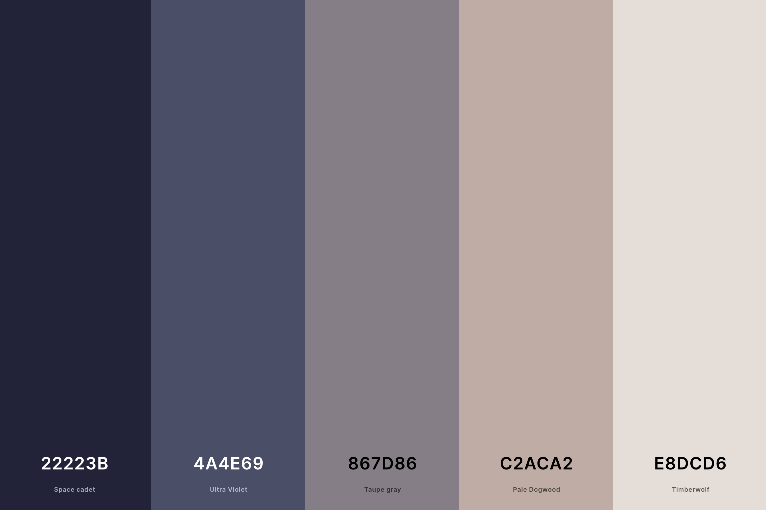 19. Aesthetic Tan Color Palette Color Palette with Space Cadet (Hex #22223B) + Ultra Violet (Hex #4A4E69) + Taupe Gray (Hex #867D86) + Pale Dogwood (Hex #C2ACA2) + Timberwolf (Hex #E8DCD6) Color Palette with Hex Codes