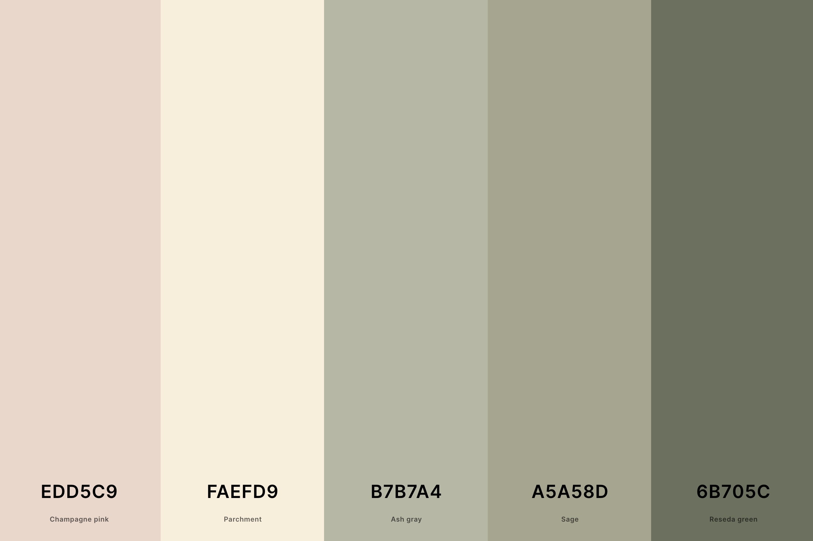 19. Beige And Sage Color Palette Color Palette with Champagne Pink (Hex #EDD5C9) + Parchment (Hex #FAEFD9) + Ash Gray (Hex #B7B7A4) + Sage (Hex #A5A58D) + Reseda Green (Hex #6B705C) Color Palette with Hex Codes